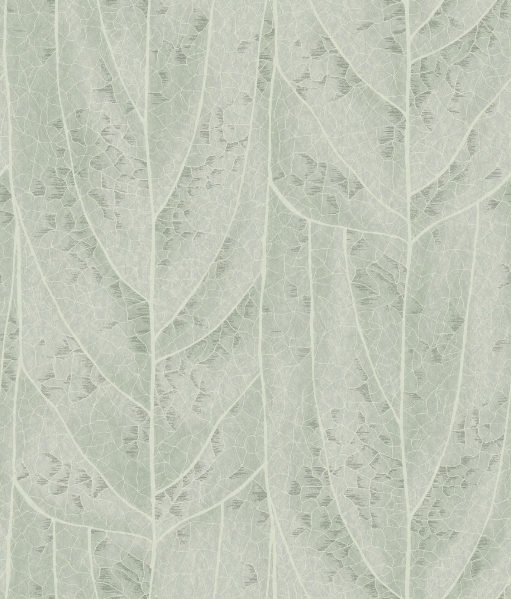 dicot-spa-leaf-wallpaper-york-wallcoverings-nt6141 - York Wallpaper Wallpaper