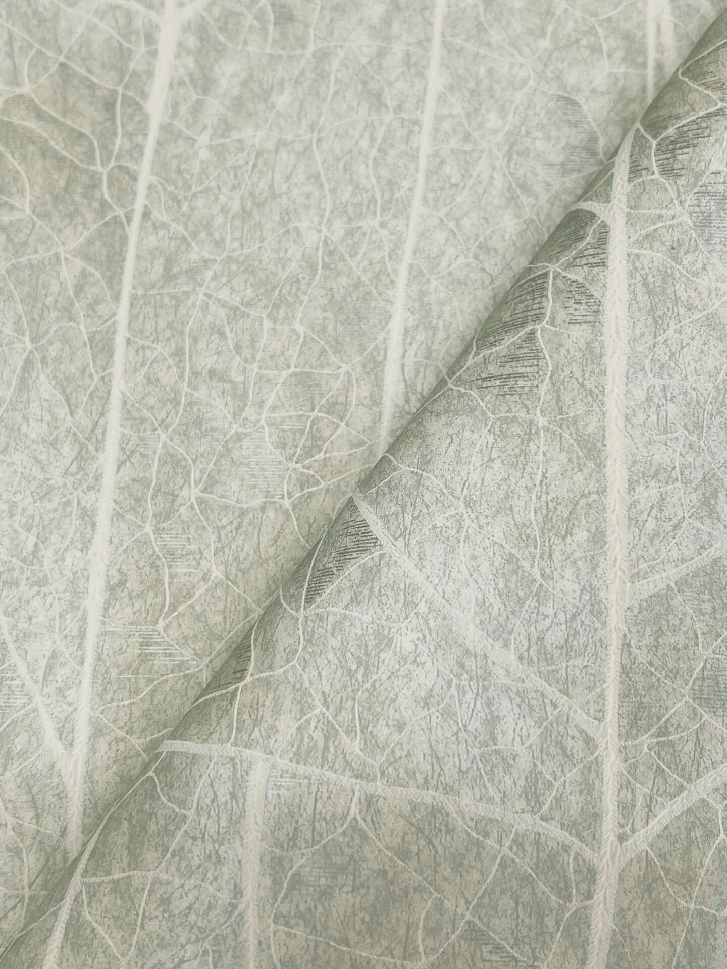 dicot-spa-leaf-wallpaper-york-wallcoverings-nt6141 - York Wallpaper Wallpaper