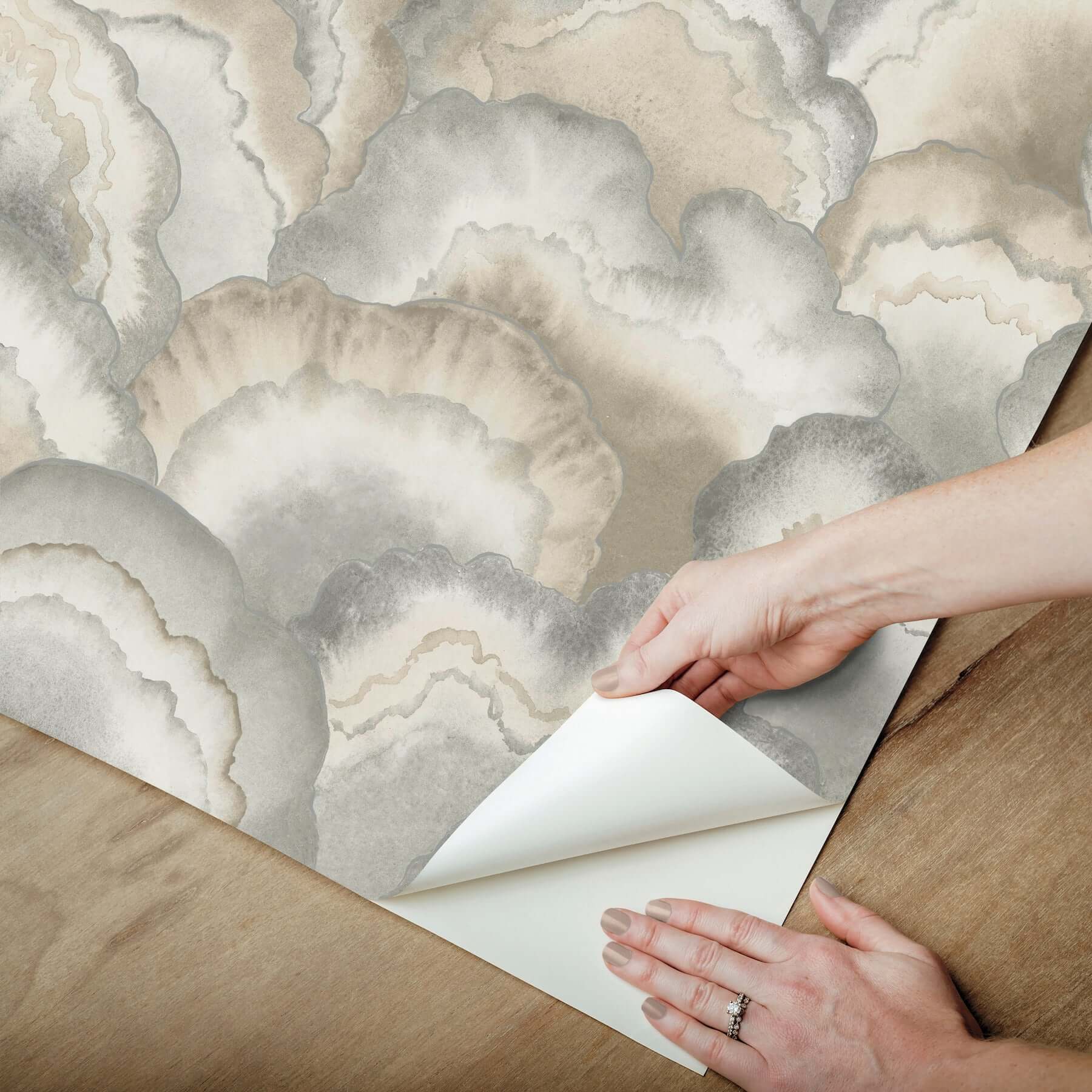 abalone-fans-smokey-peel-stick-wallpaper-york-wallcoverings-psw1615rl - York Wallpaper Wallpaper
