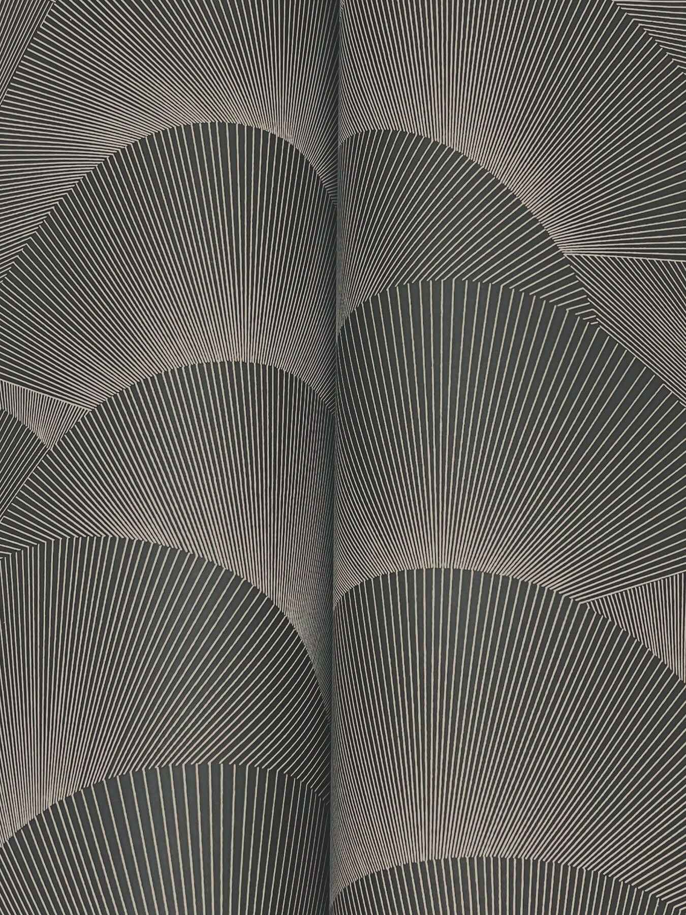Morning Shell Black & Grey Wallpaper - York Wallcoverings - ZA8022 - York Wallcoverings Wallpaper