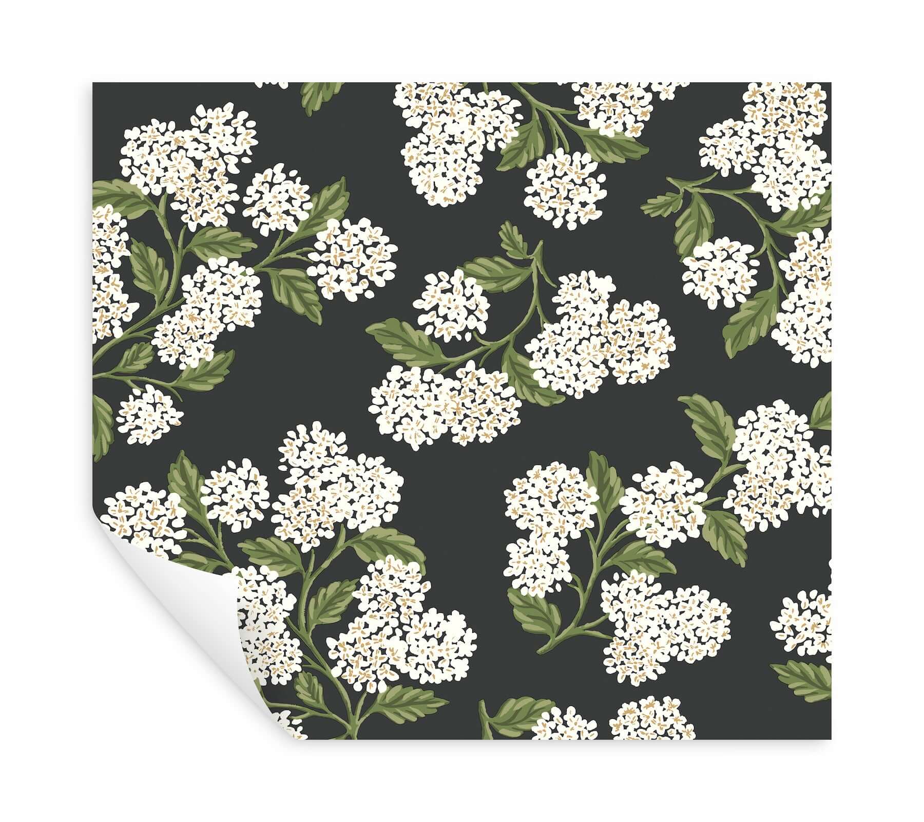 hydrangea-black-white-peel-stick-wallpaper-york-wallcoverings-psw1618rl - York Wallpaper Wallpaper