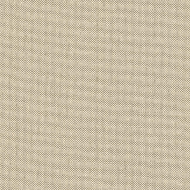 hint-wallpaper-fresh-cream-york-wallcoverings-203-13 - York Wallcoverings Wallpaper