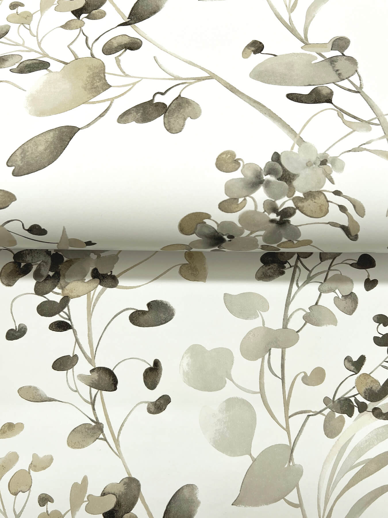 spring-whispers-charcoal-wallpaper-york-wallcoverings-df3342 - York Wallpaper Wallpaper