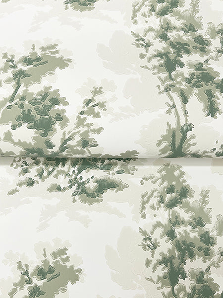 sainsbury-sage-forest-wallpaper-york-wallcoverings-4173-82104