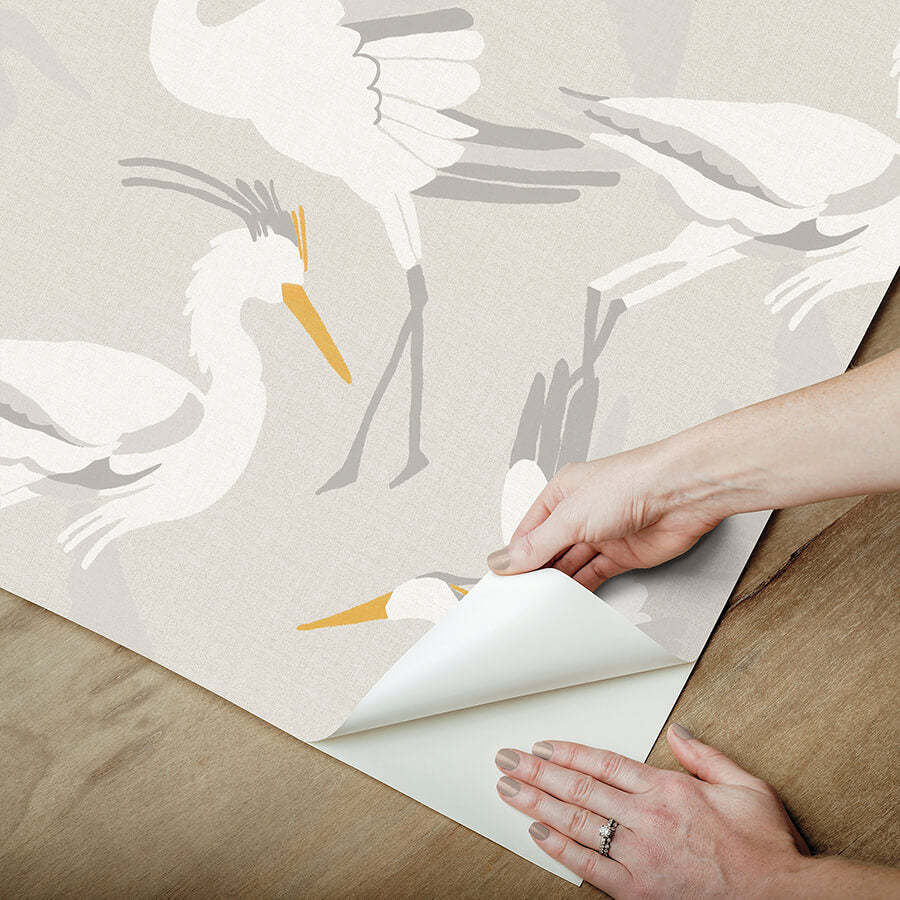 coastal-wings-taupe-peel-and-stick-wallpaper-york-wallcoverings-nus6502 - York Wallcoverings Wallpaper
