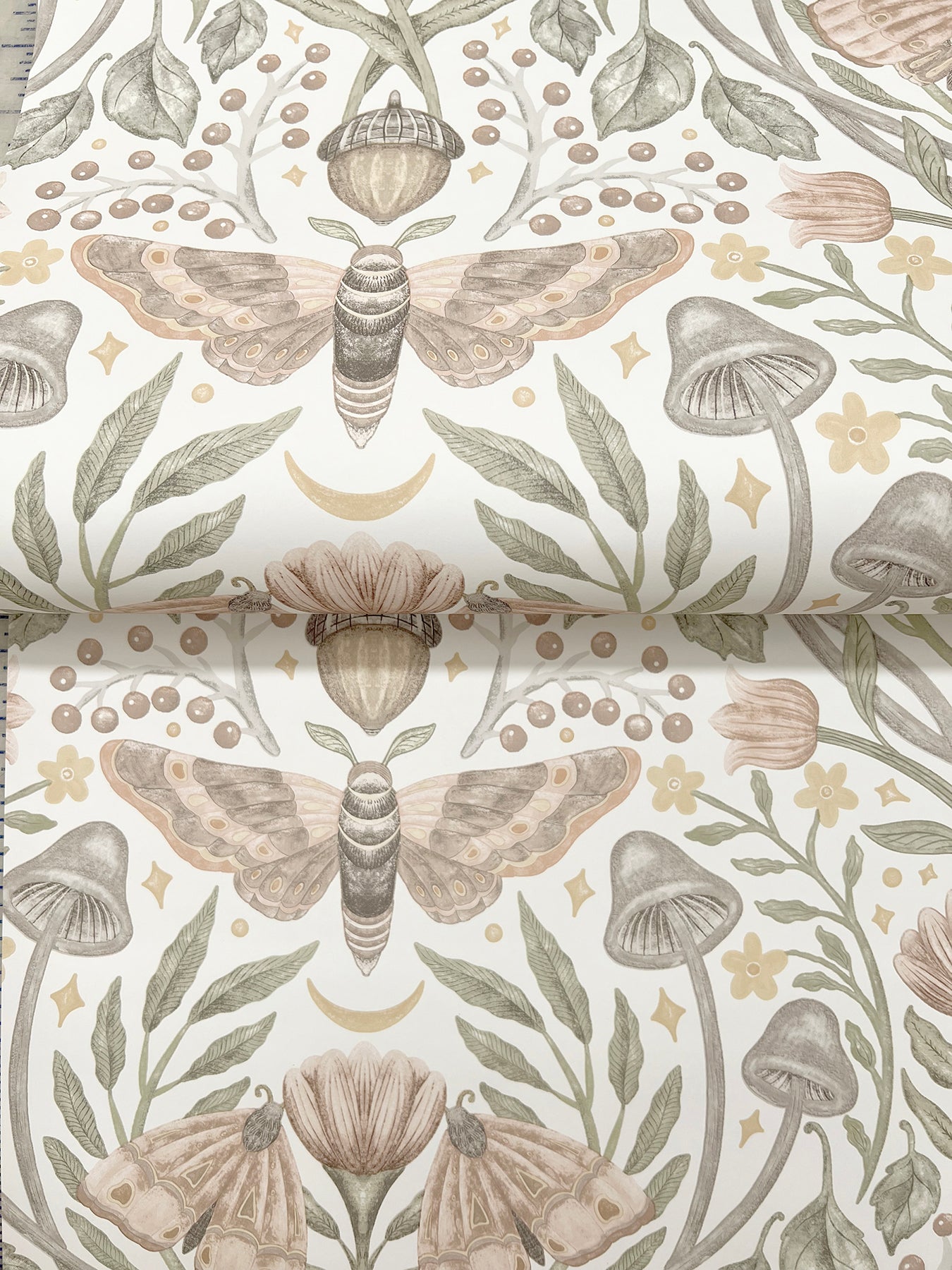mystic-moth-blush-forest-magic-wallpaper-york-wallcoverings-4169-83119