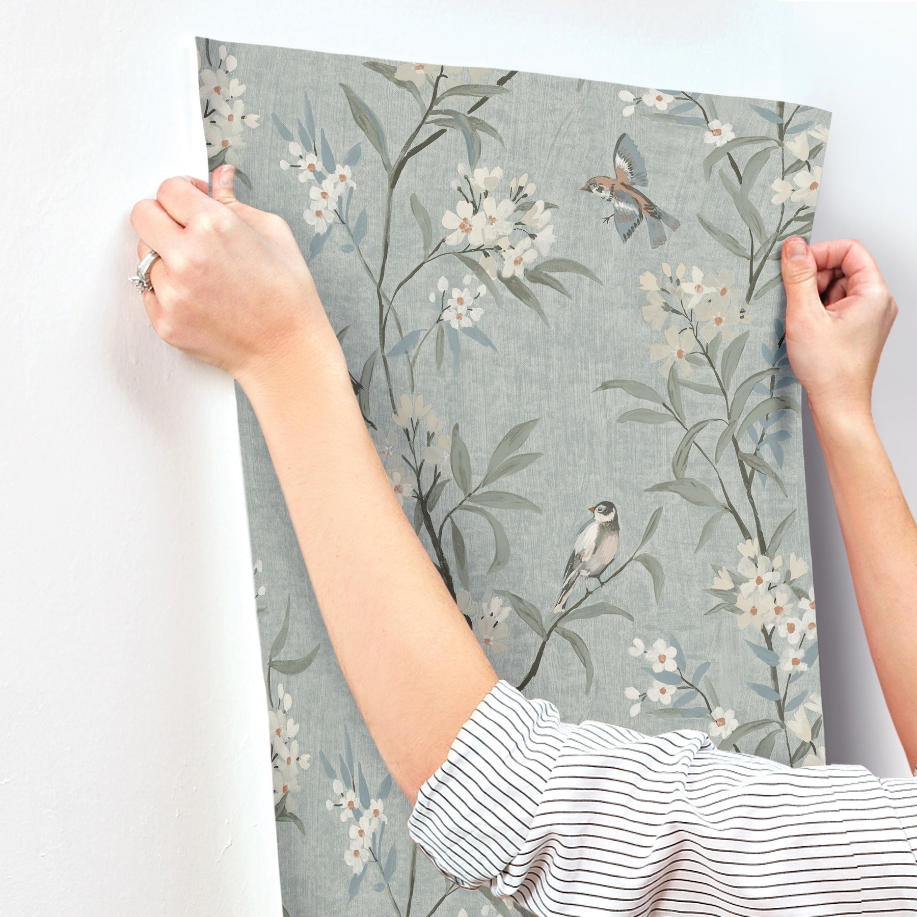 tea-olive-blue-finch-frolic-wallpaper-york-wallcoverings-4169-83139