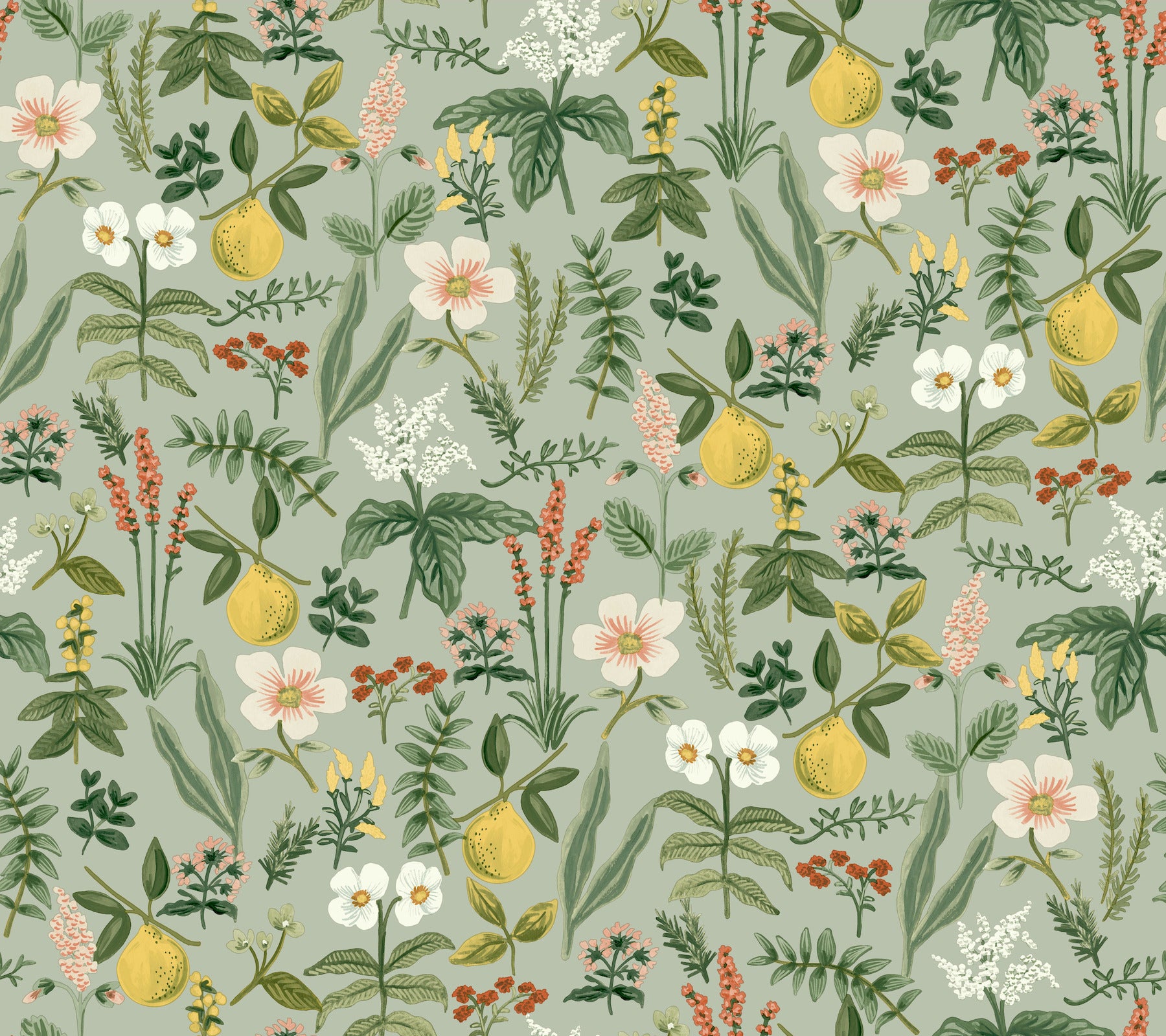 herb-garden-sage-botanical-premium-peel-stick-wallpaper-york-wallcoverings-psw1675rl