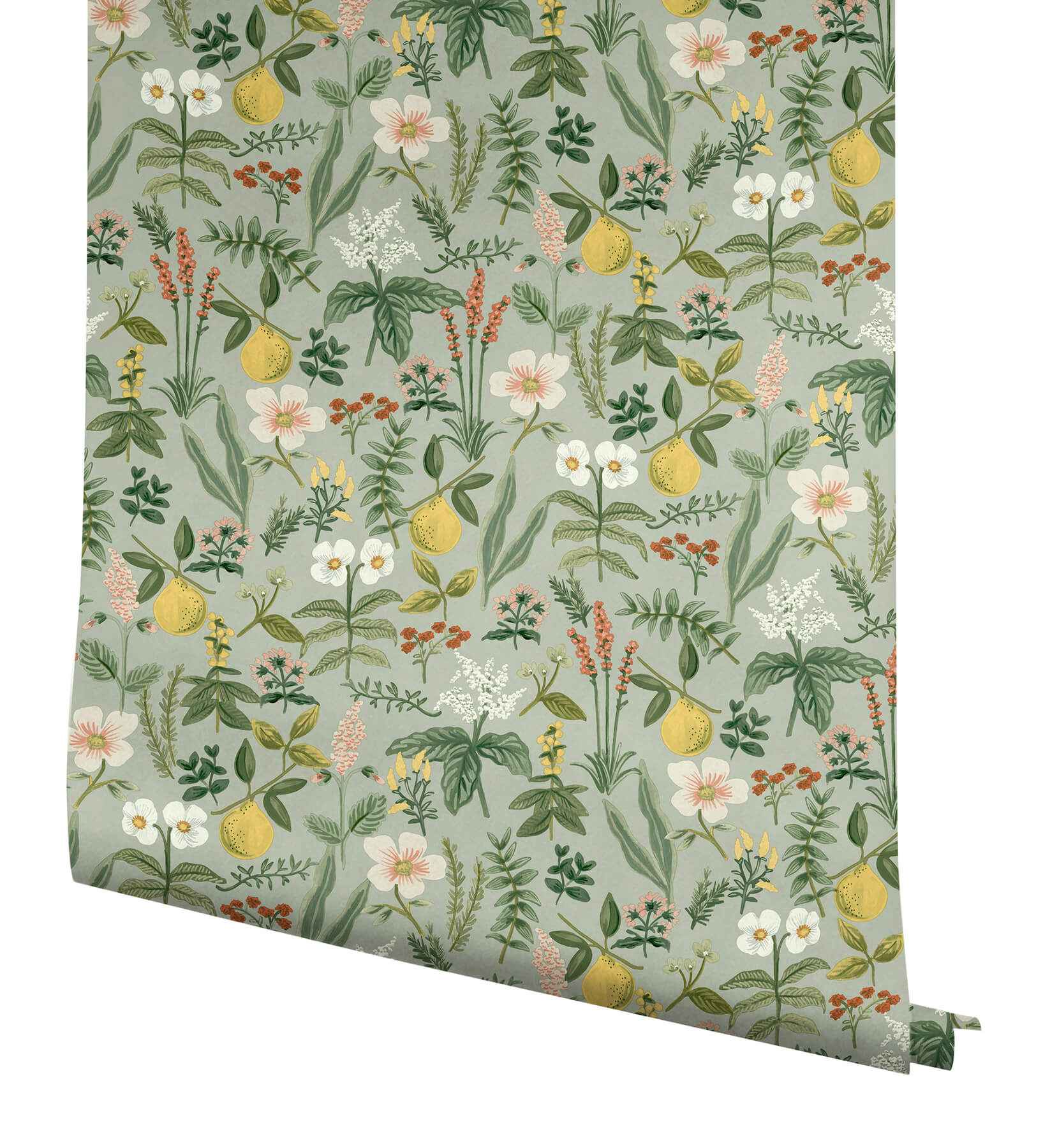 Herb Garden Sage Botanical Premium Peel + Stick Wallpaper - York Wallcoverings - PSW1675RL