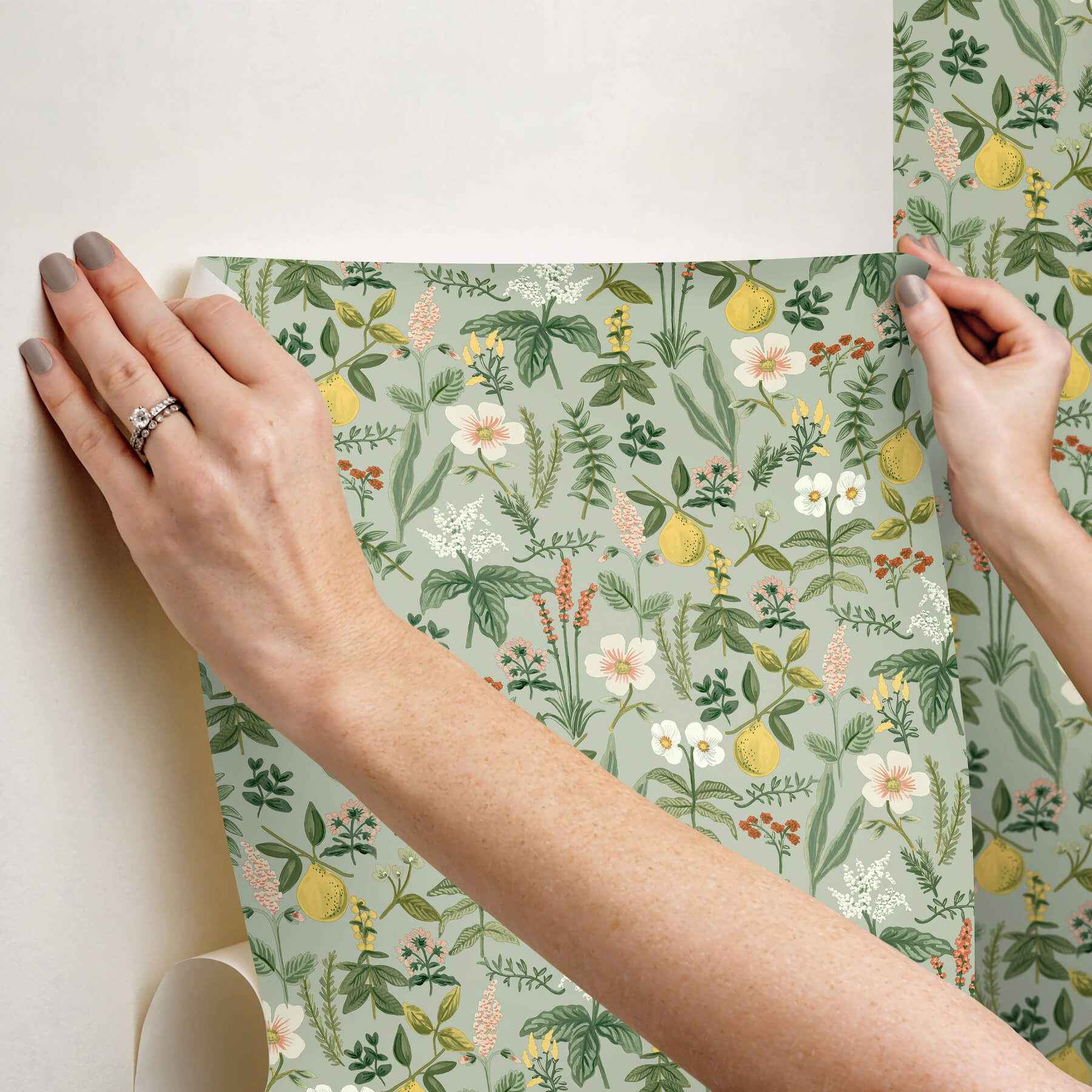 Herb Garden Sage Botanical Premium Peel + Stick Wallpaper - York Wallcoverings - PSW1675RL - York Wallcoverings Wallpaper