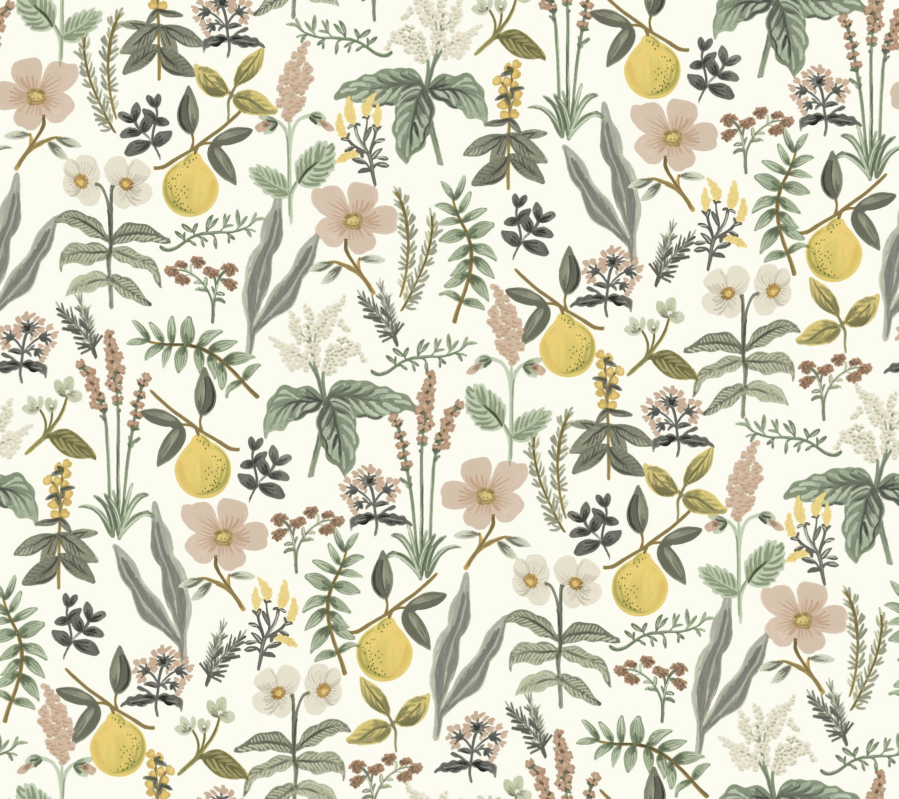 herb-garden-cream-botanical-premium-peel-stick-wallpaper-york-wallcoverings-psw1678rl