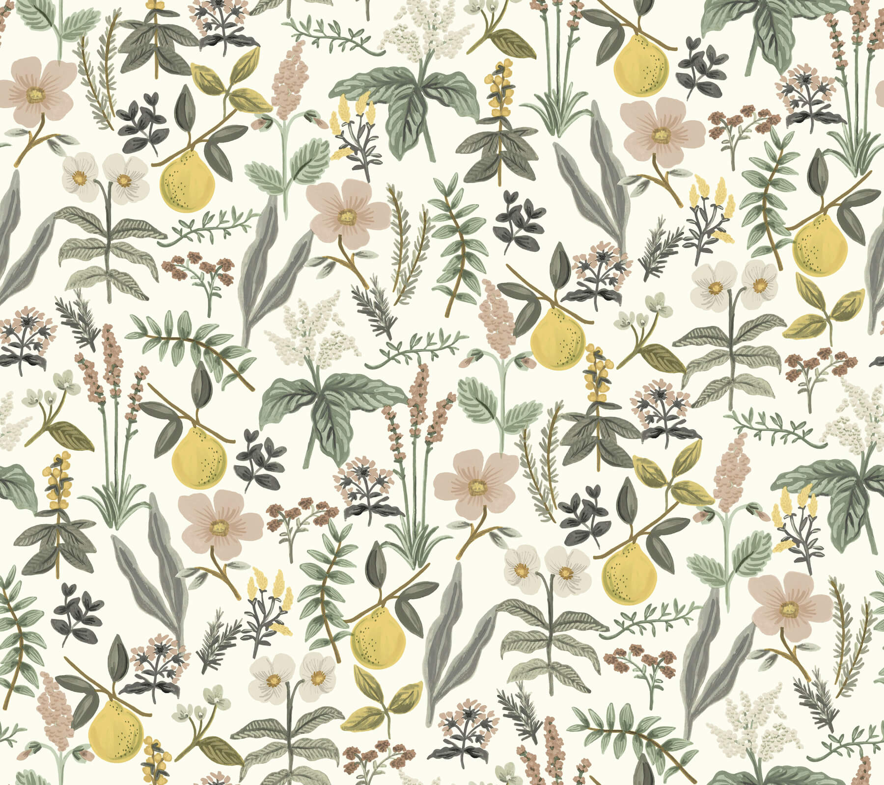 herb-garden-cream-botanical-premium-peel-stick-wallpaper-york-wallcoverings-psw1678rl - York Wallcoverings Wallpaper
