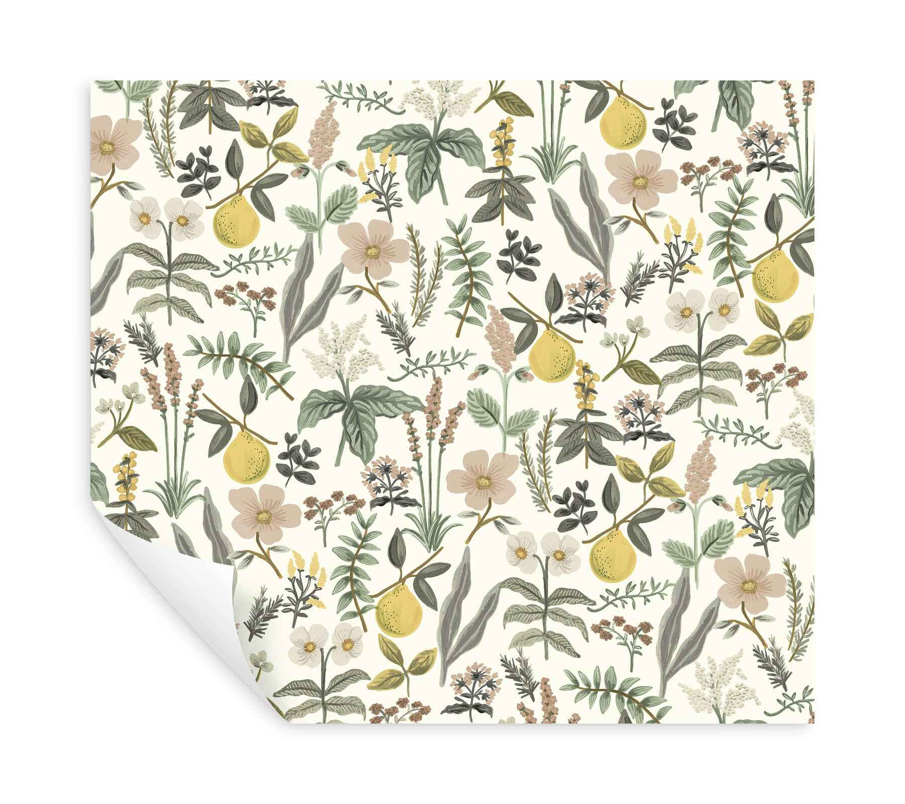 Herb Garden Cream Botanical Premium Peel + Stick Wallpaper - York Wallcoverings - PSW1678RL - York Wallcoverings Wallpaper