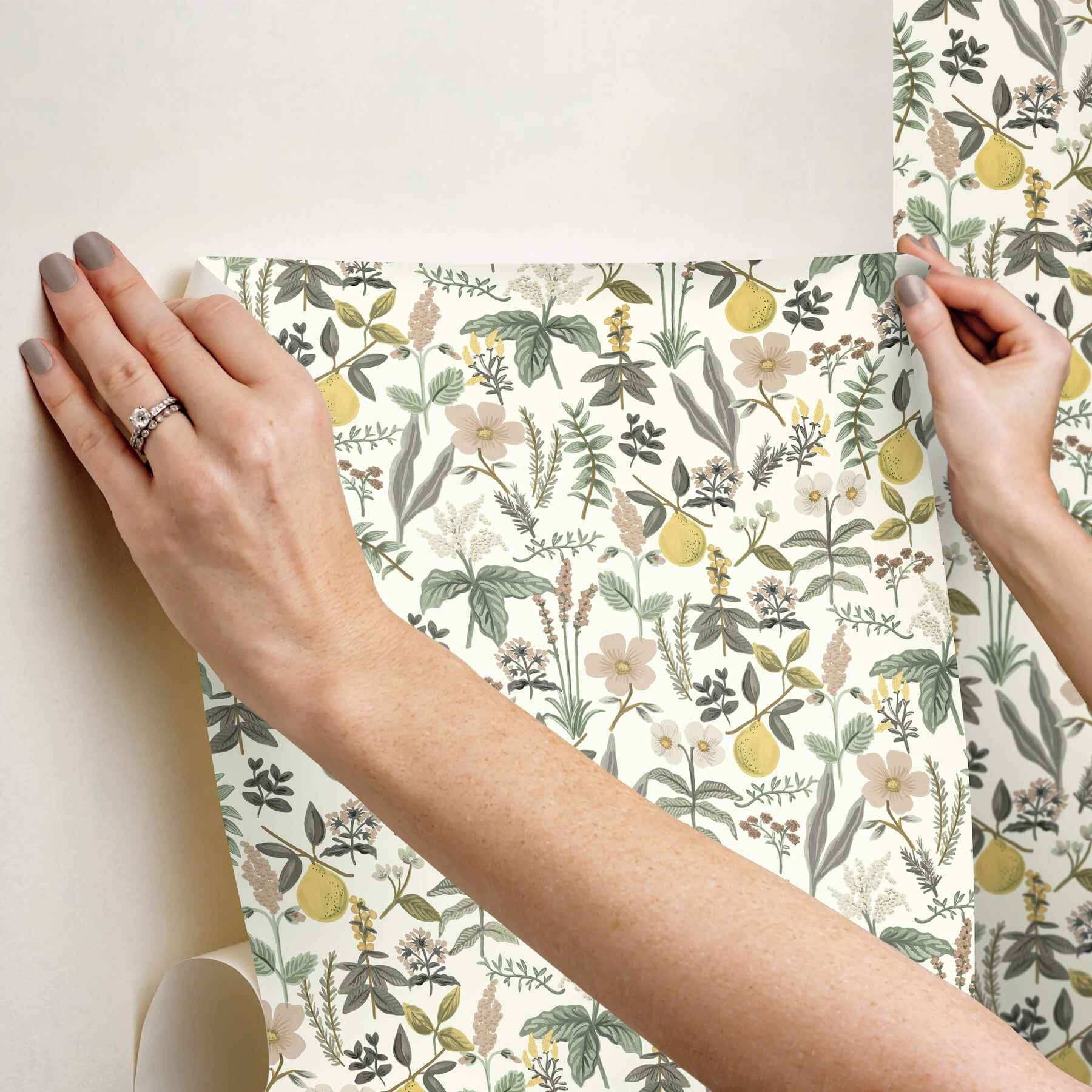 Herb Garden Cream Botanical Premium Peel + Stick Wallpaper - York Wallcoverings - PSW1678RL - York Wallcoverings Wallpaper
