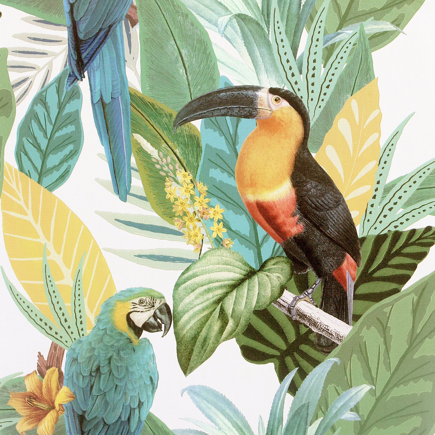 trudie-multicolor-toucan-macaw-wallpaper-york-wallcoverings-ah296803