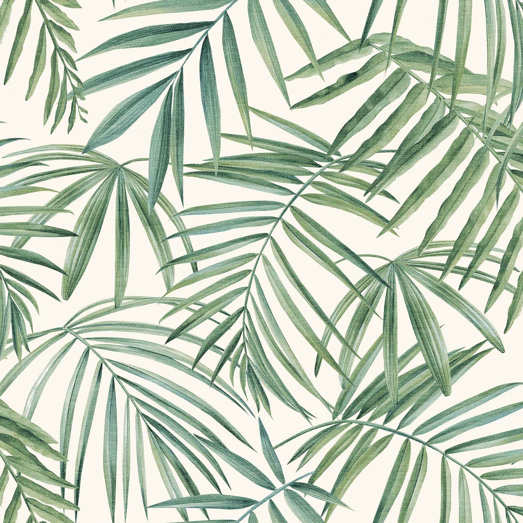 Juan Green Palm Leaves Wallpaper - York Wallcoverings - AH923909