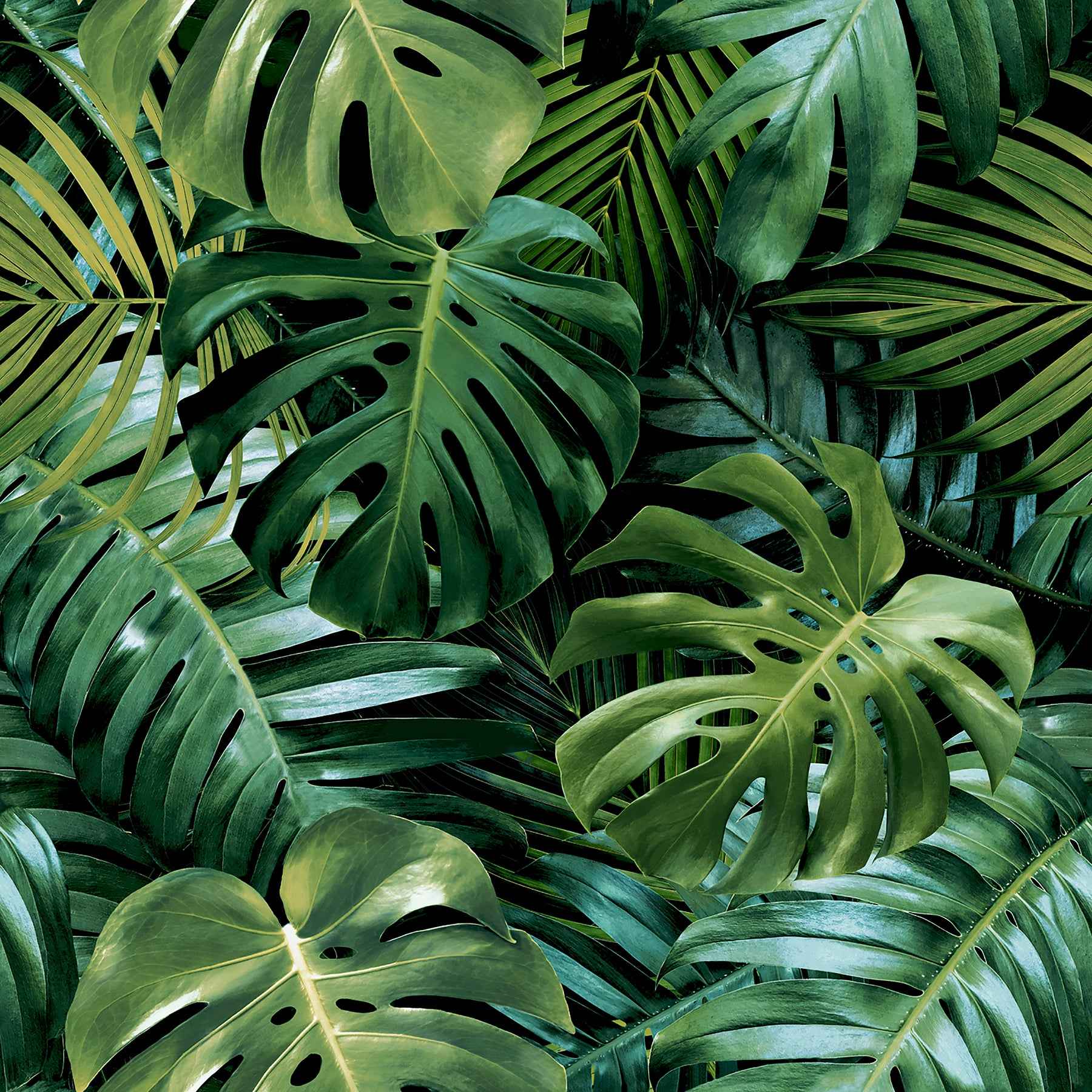Harlynn Green Monstera Wallpaper - York Wallcoverings - AH924108