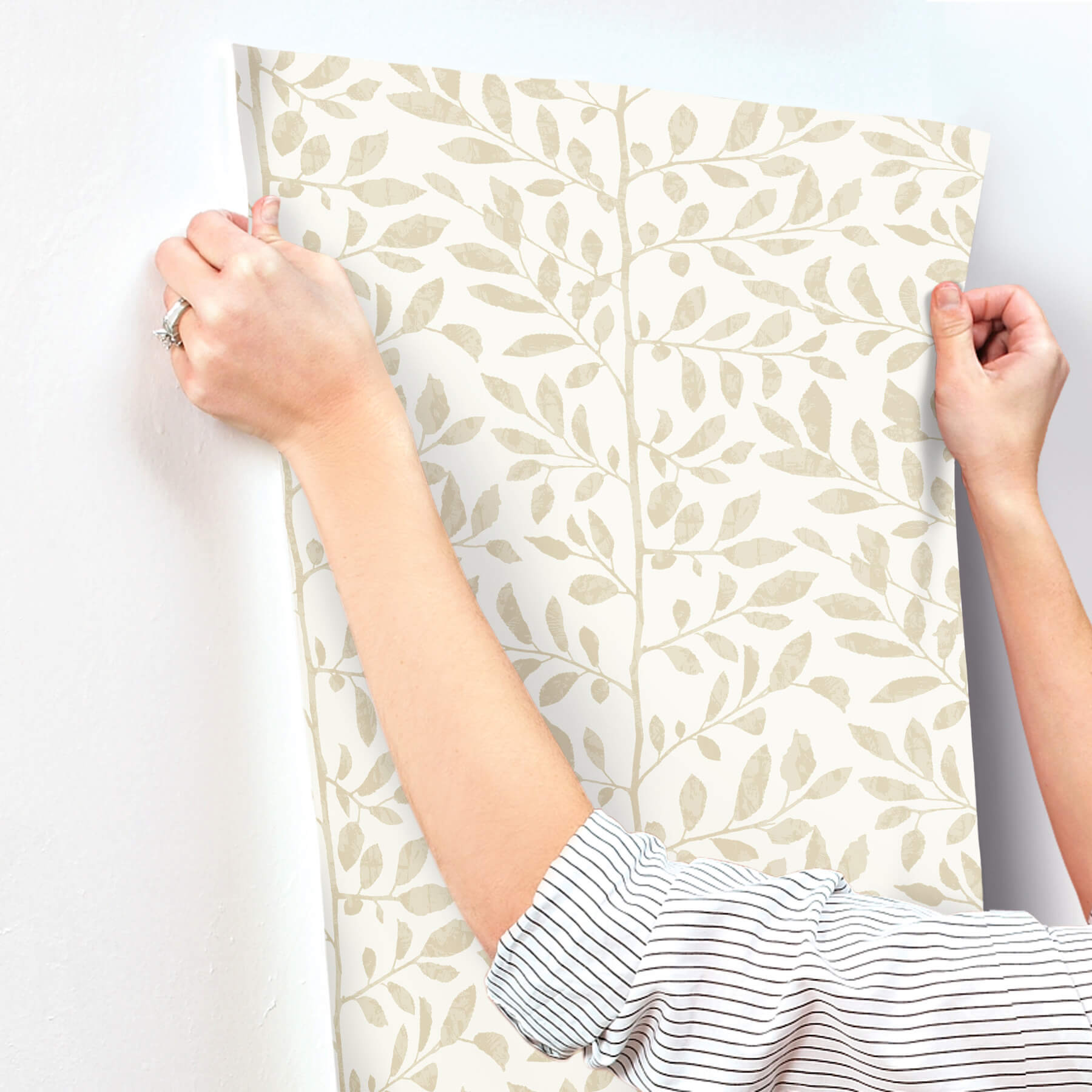 sagecrest-platinum-sapling-wallpaper-york-wallcoverings-4177-83308 - York Wallcoverings Wallpaper