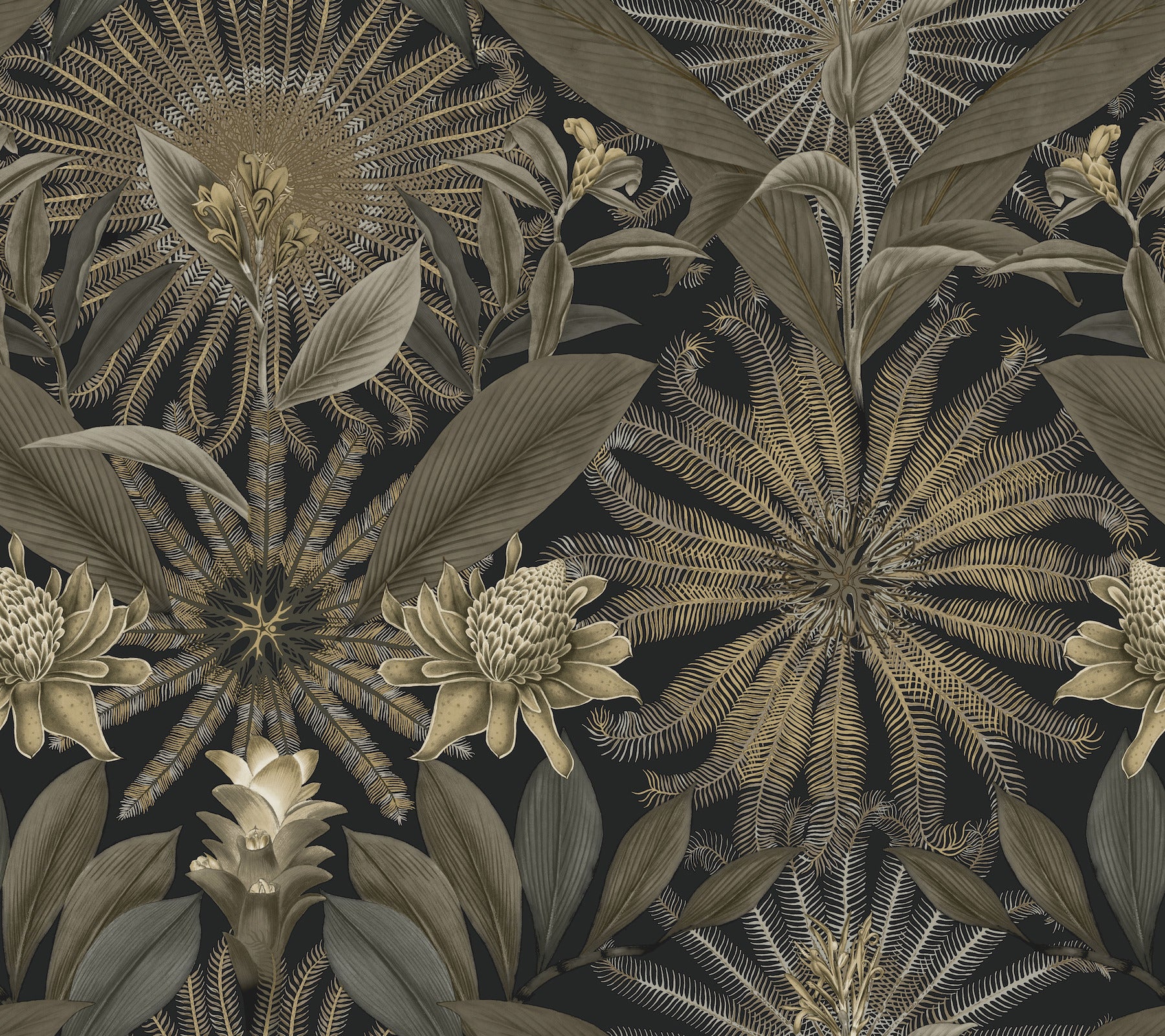 enchanted-garden-black-tropical-wallpaper-york-wallcoverings-vr1531
