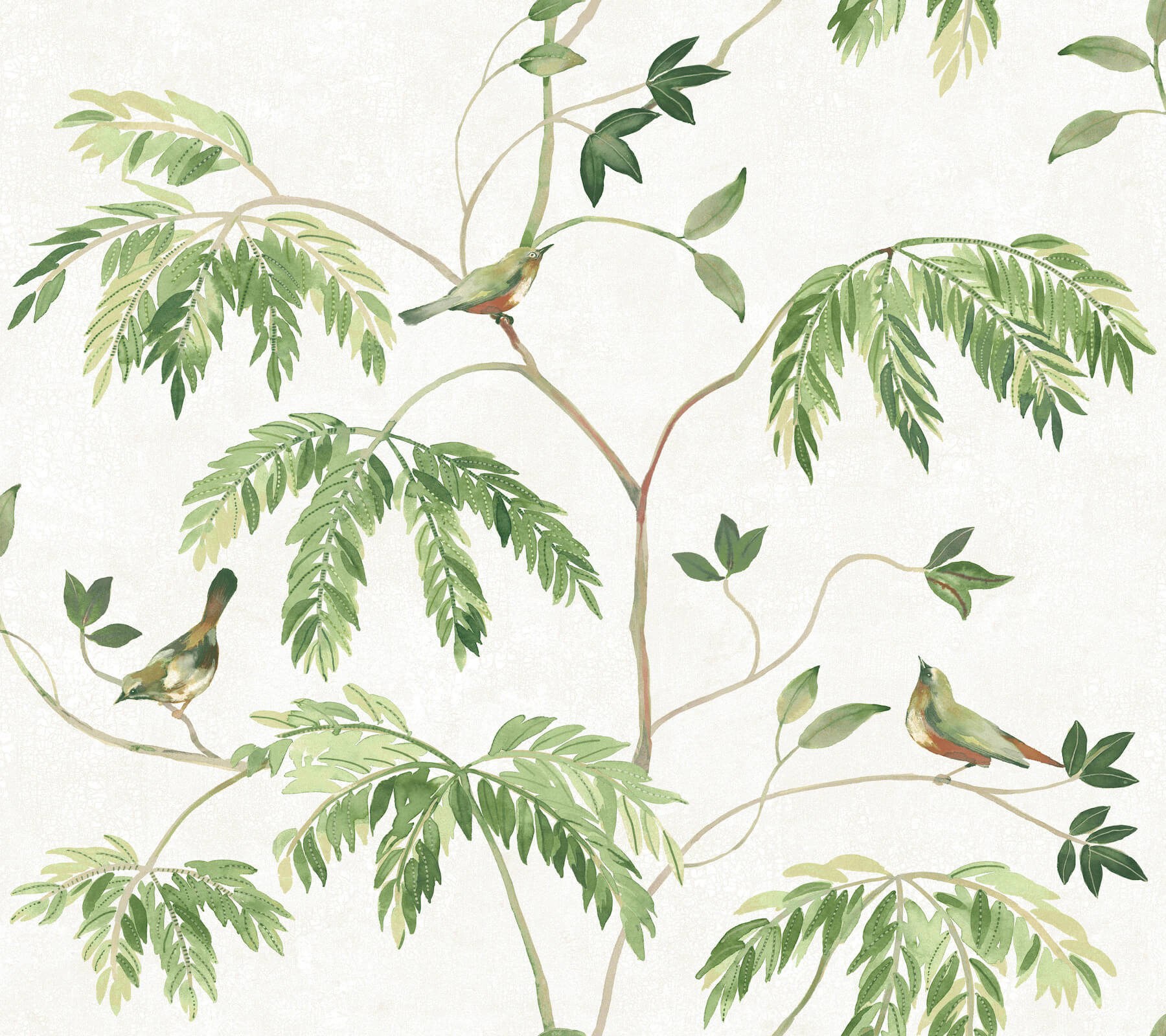 cillian-green-botanical-bird-trail-wallpaper-york-wallcoverings-ll3250 - York Wallcoverings Wallpaper