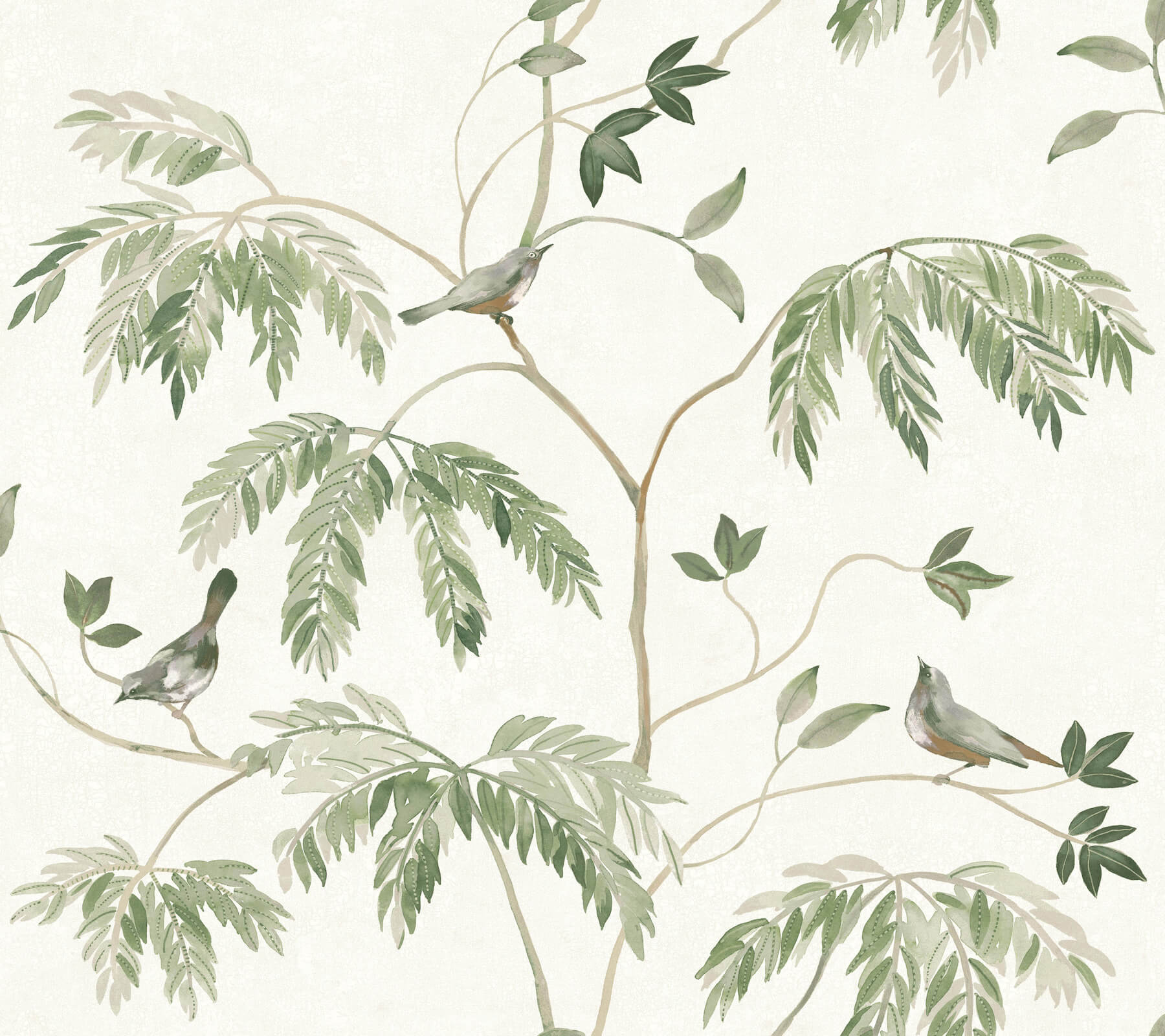 cillian-dark-green-botanical-bird-trail-wallpaper-york-wallcoverings-ll3251 - York Wallcoverings Wallpaper