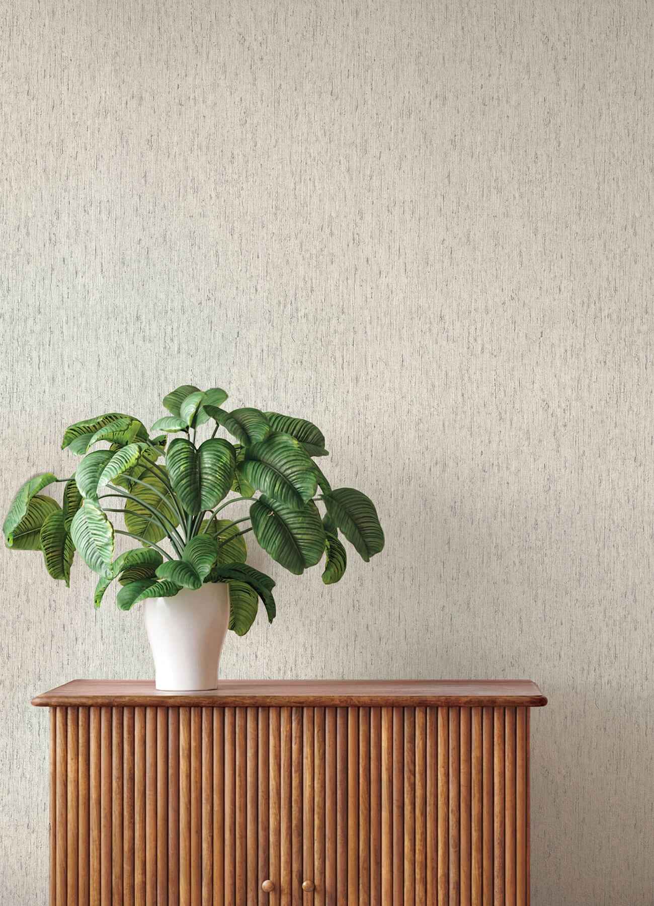 Roison Light Grey Birch Bark Wallpaper - York Wallcoverings - 4202-571042 - York Wallcoverings Wallpaper