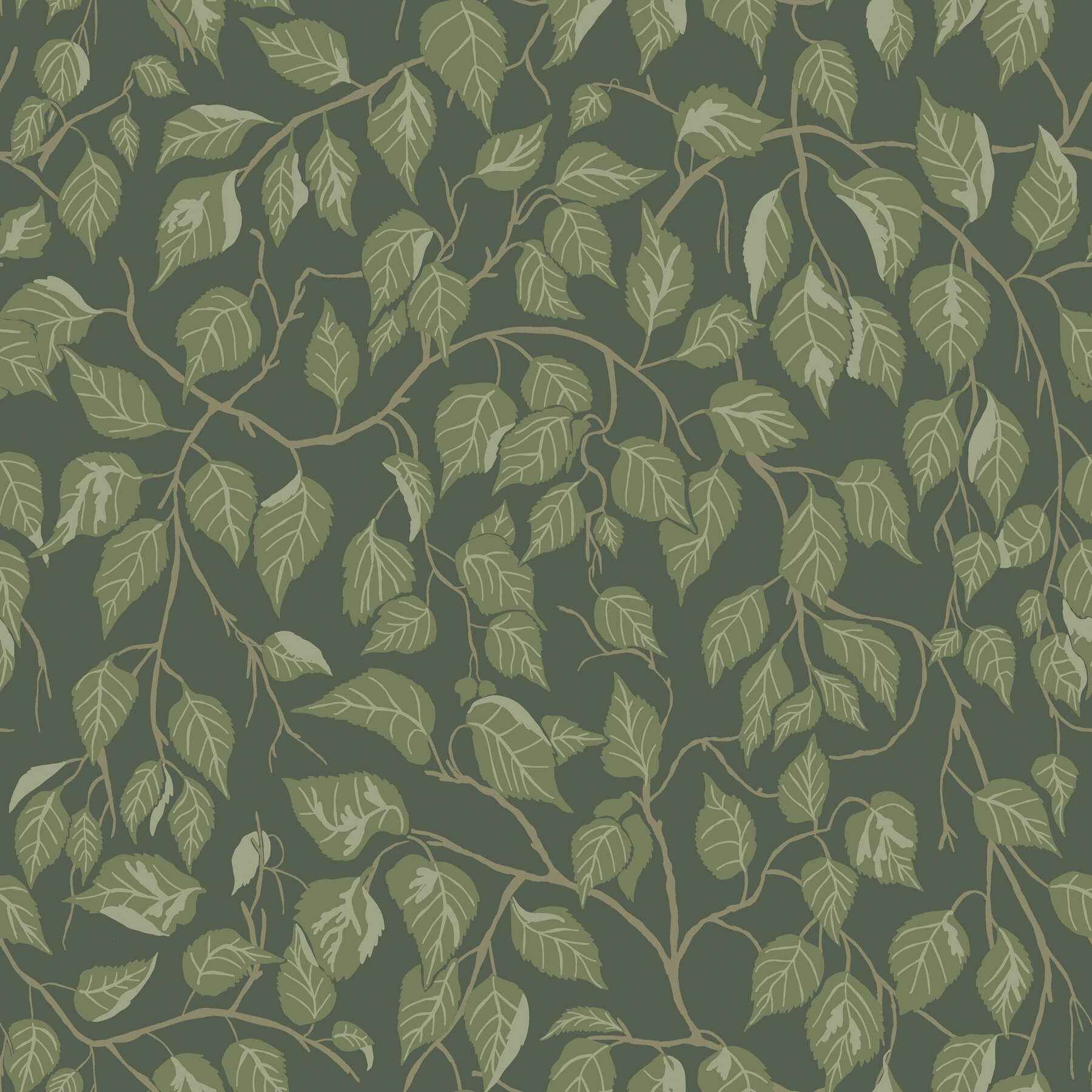 Hängbjörk Evergreen Vine Wallpaper - York Wallcoverings - 4201-20108