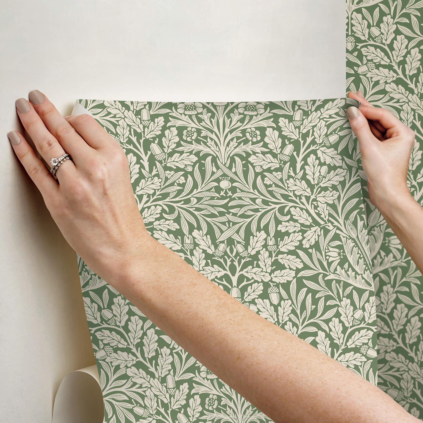 acorn-forest-peel-and-stick-wallpaper-york-wallcoverings-mcs6587 - York Wallcoverings Wallpaper