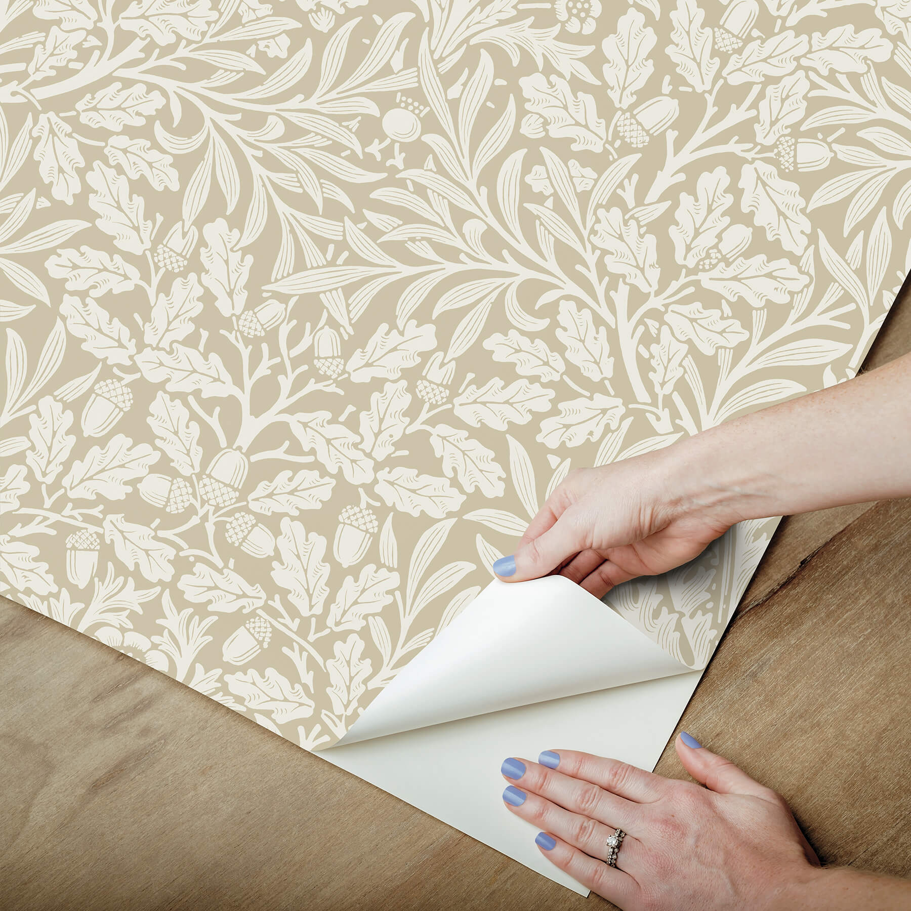 acorn-wheat-peel-and-stick-wallpaper-york-wallcoverings-mcs6589 - York Wallcoverings Wallpaper