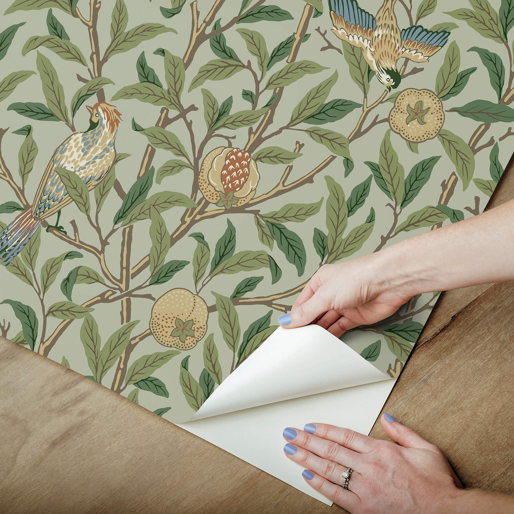 bird-and-pomegranate-bayleaf-and-forest-peel-and-stick-wallpaper-york-wallcoverings-mcs6592 - York Wallcoverings Wallpaper
