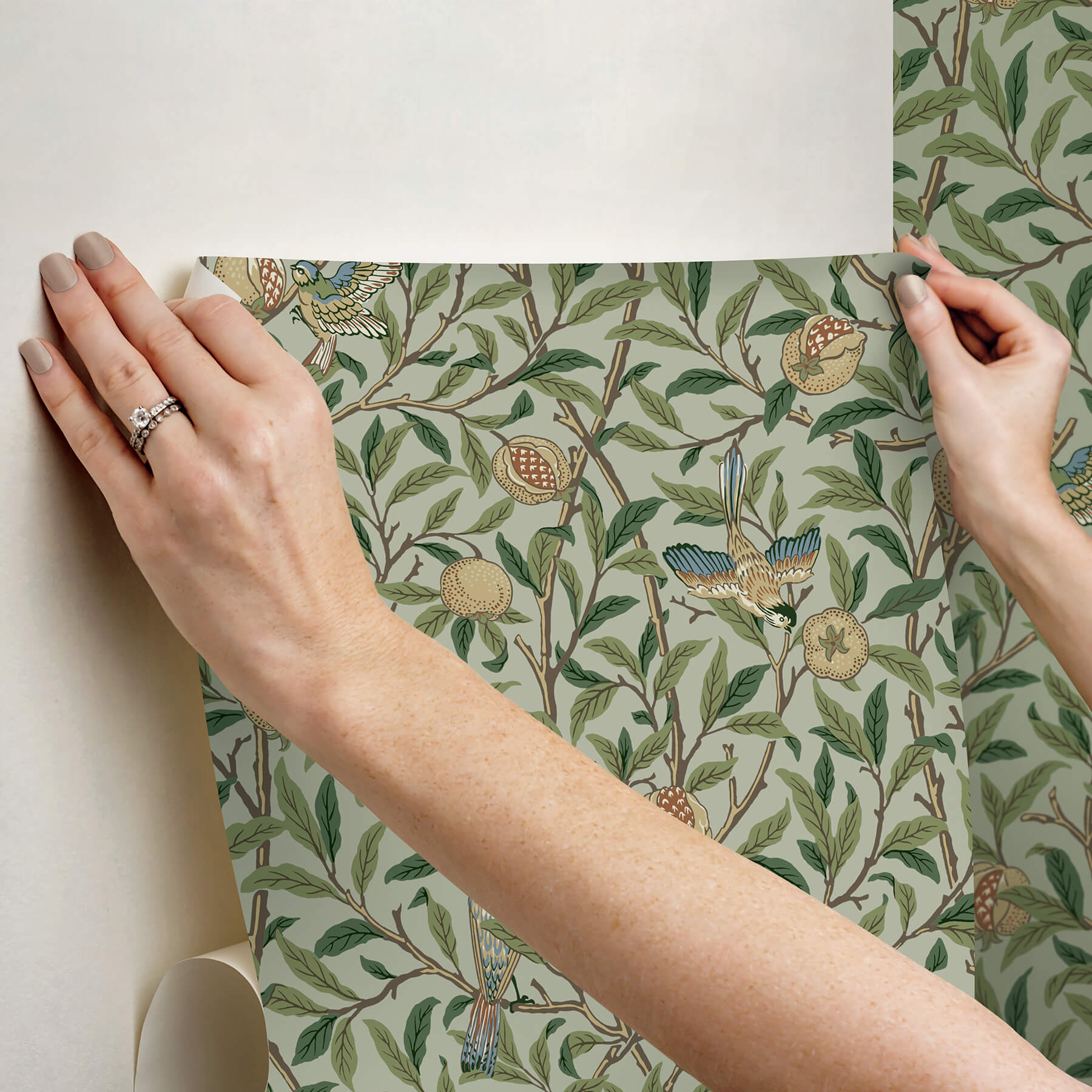 bird-and-pomegranate-bayleaf-and-forest-peel-and-stick-wallpaper-york-wallcoverings-mcs6592 - York Wallcoverings Wallpaper