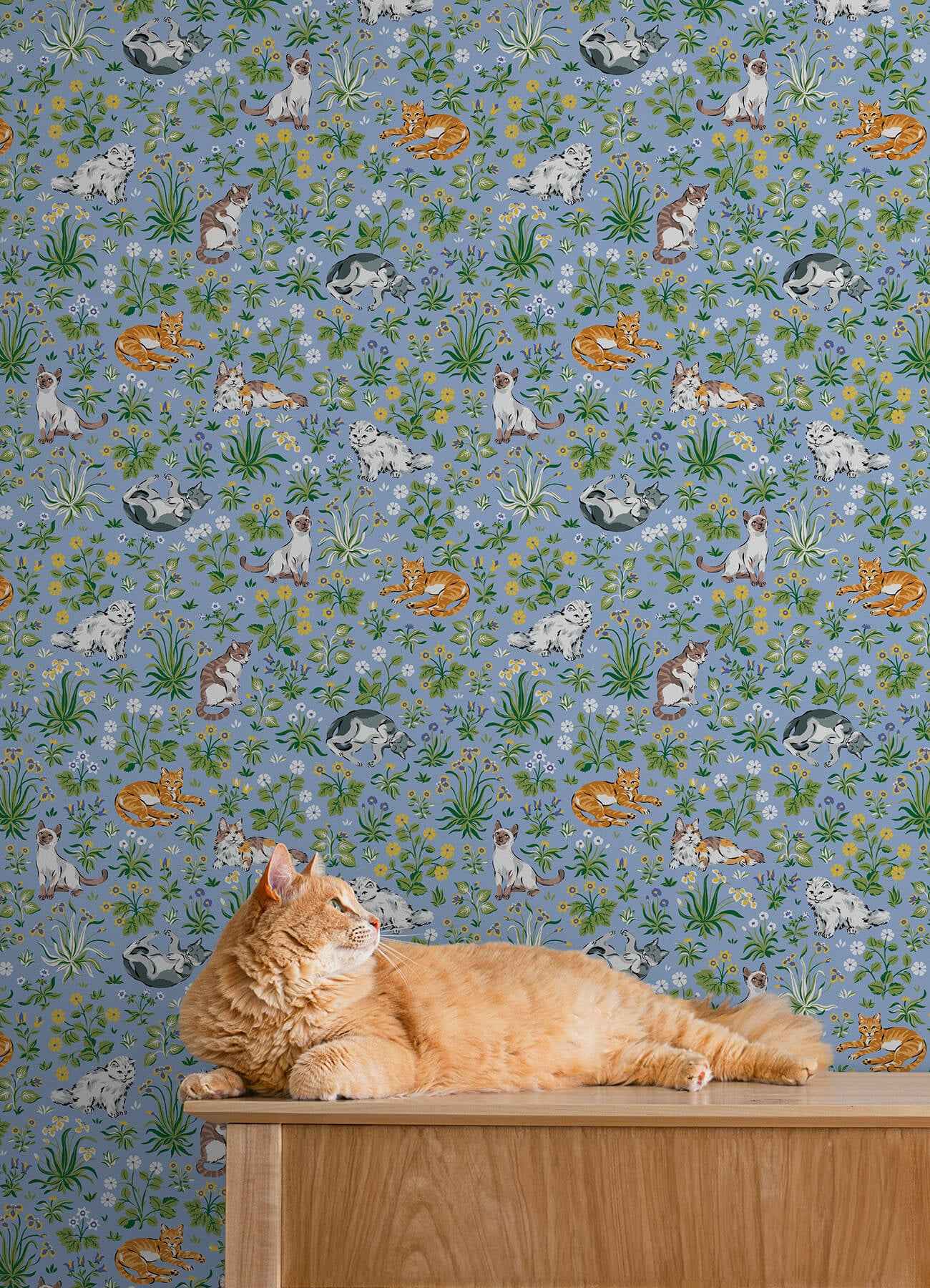Must Love Cats Blue Peel and Stick Wallpaper - York Wallcoverings - PFS6567 - York Wallcoverings Wallpaper