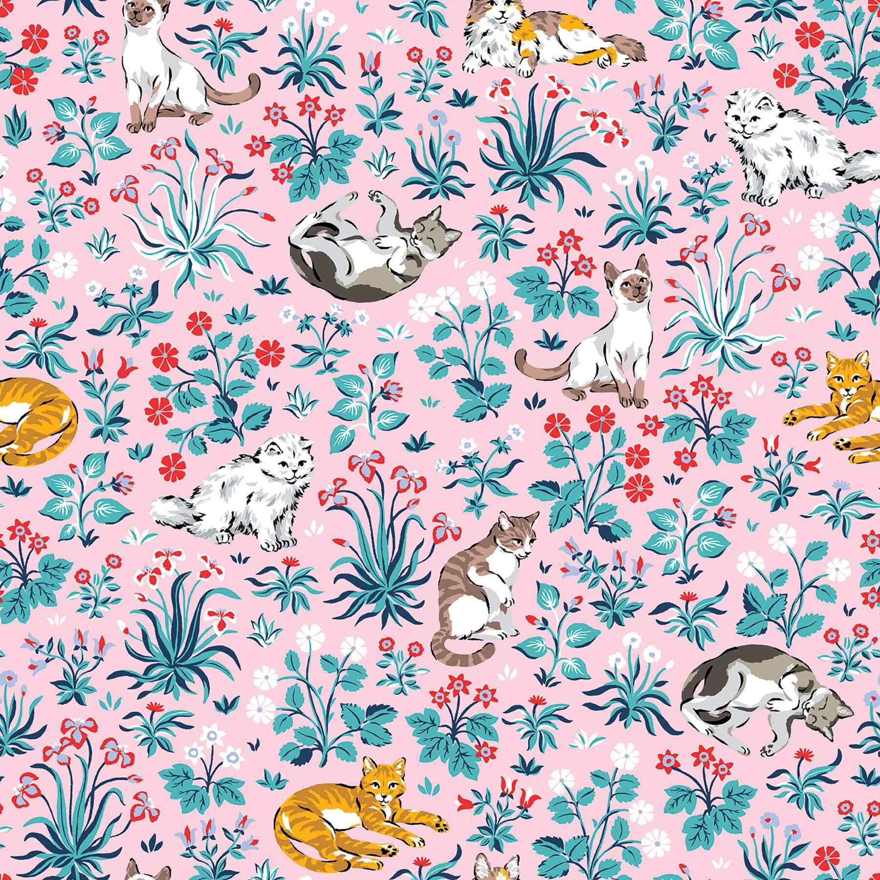 Must Love Cats Pink Peel and Stick Wallpaper - York Wallcoverings - PFS6569