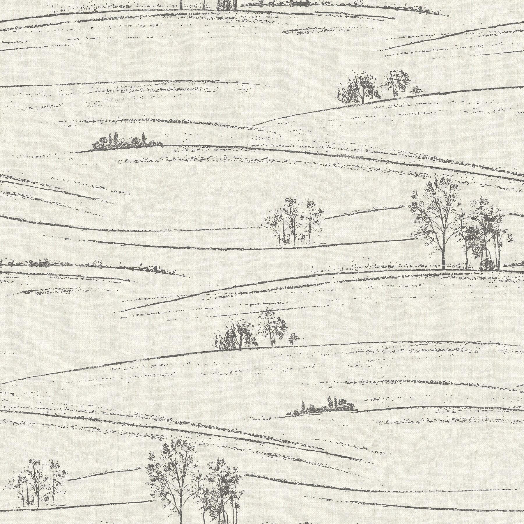 isaac-black-rolling-hills-wallpaper-york-wallcoverings-4199-83728 - York Wallcoverings Wallpaper
