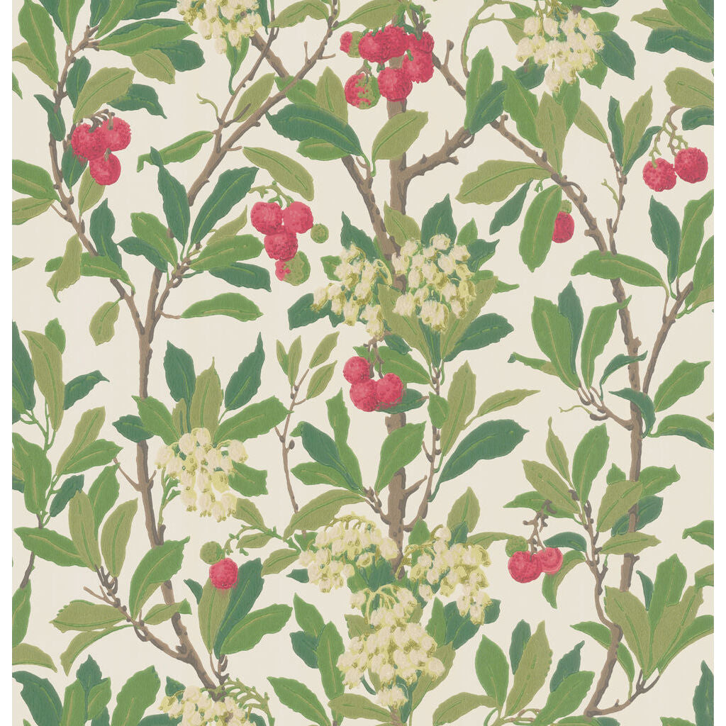 Strawberry Tree - Scarlet & Ivory - Cole & Son Wallpaper