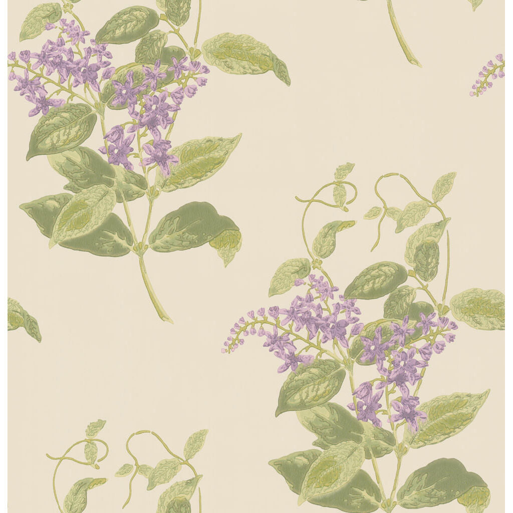 Madras Violet - Olive & Lavender - Cole & Son Wallpaper