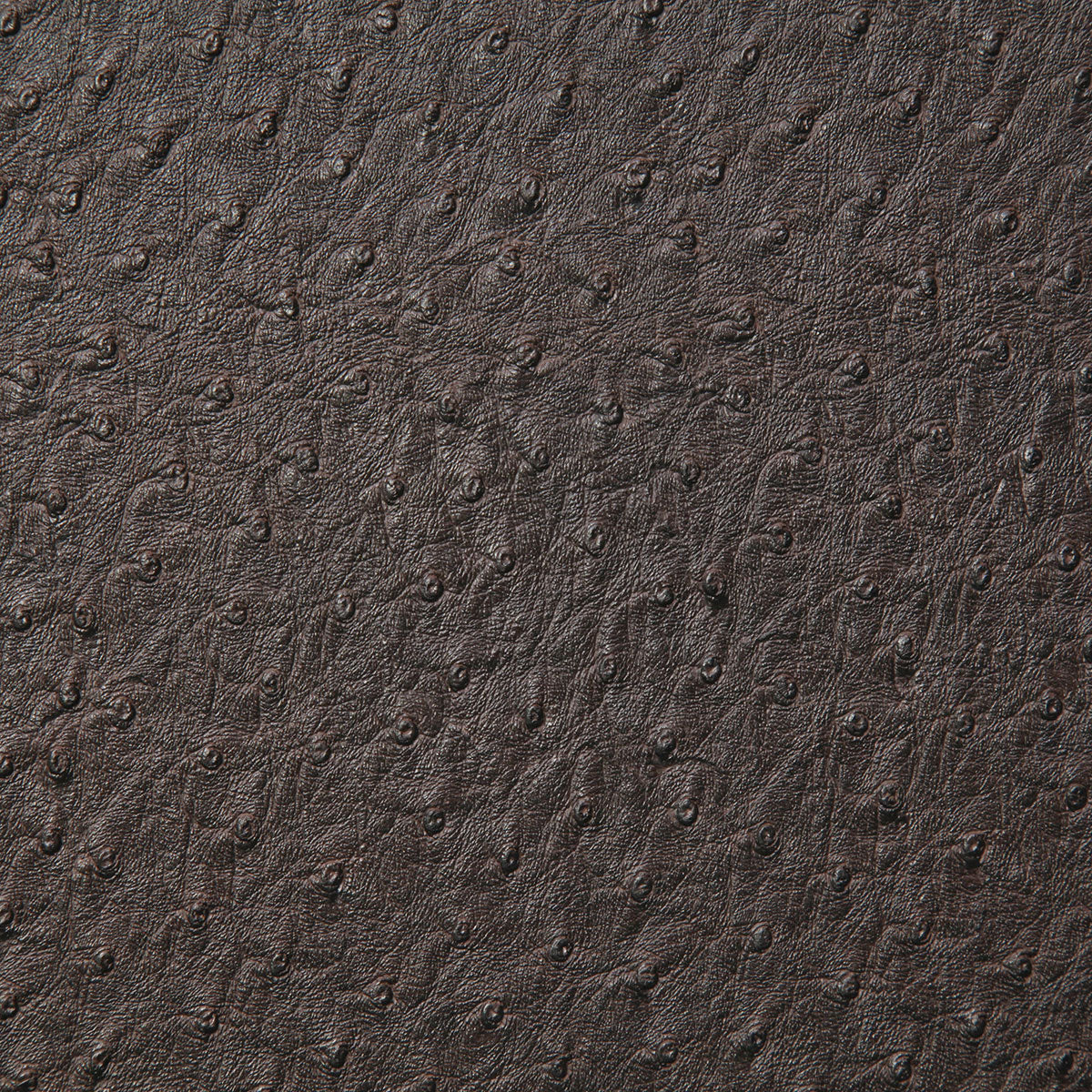 1008-micah-cocoa-pindler - Pindler Tela
