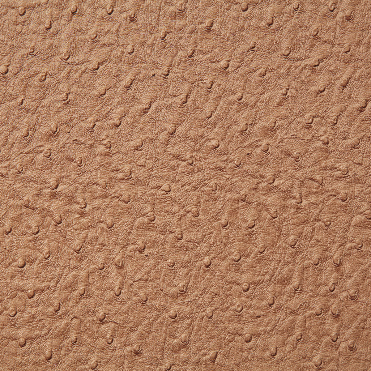 1008-micah-tan-pindler