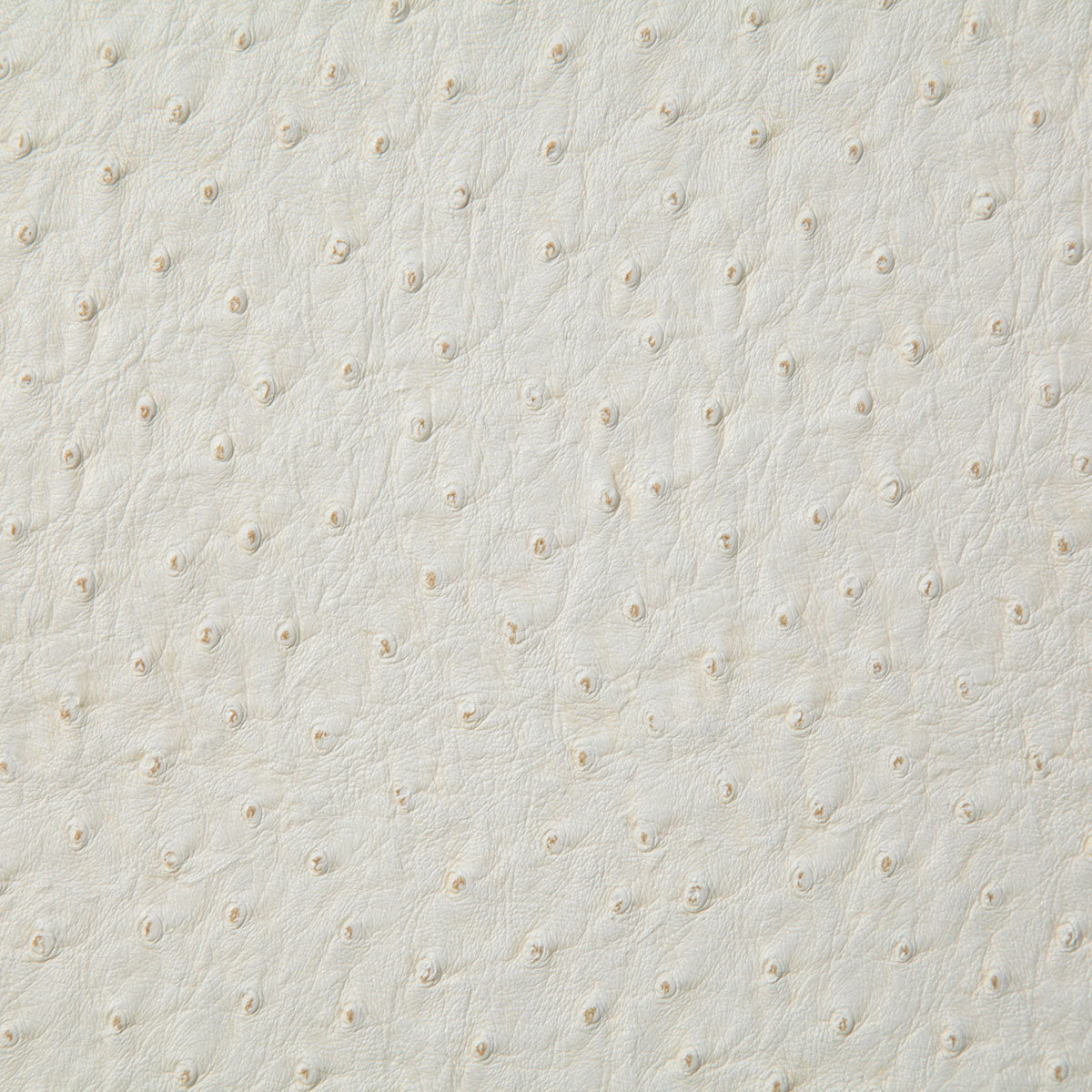 1008-micah-white-pindler - Pindler Fabric
