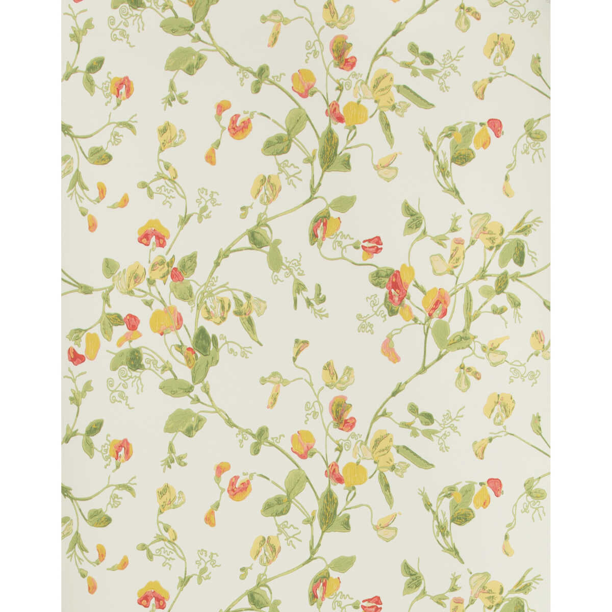 Sweet Pea - Pink & Yellow