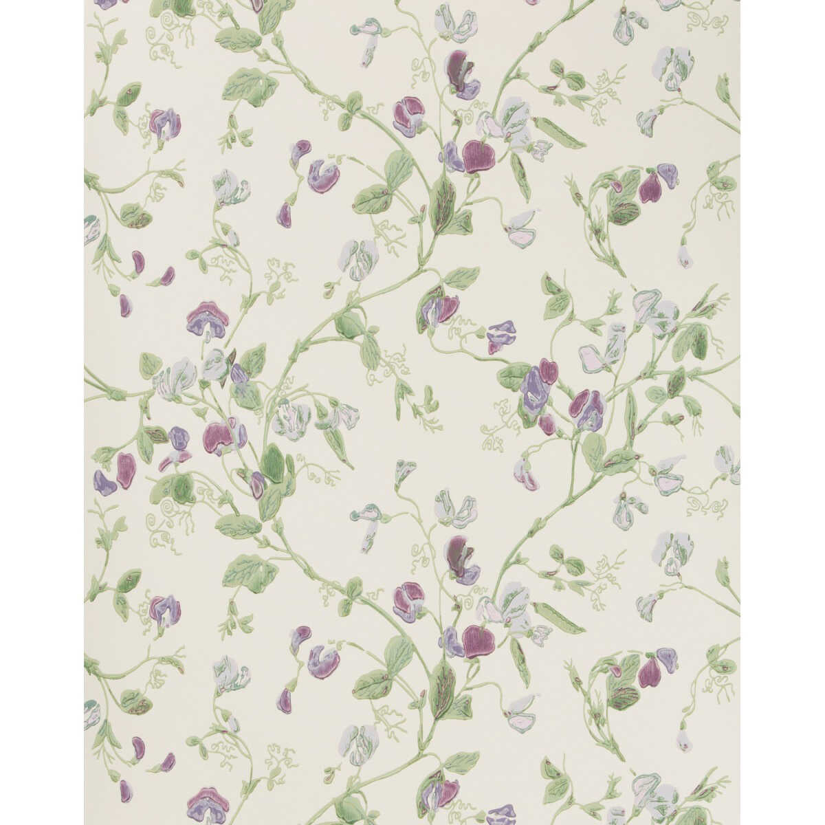 Sweet Pea - Violet - COLE & SON Wallpaper