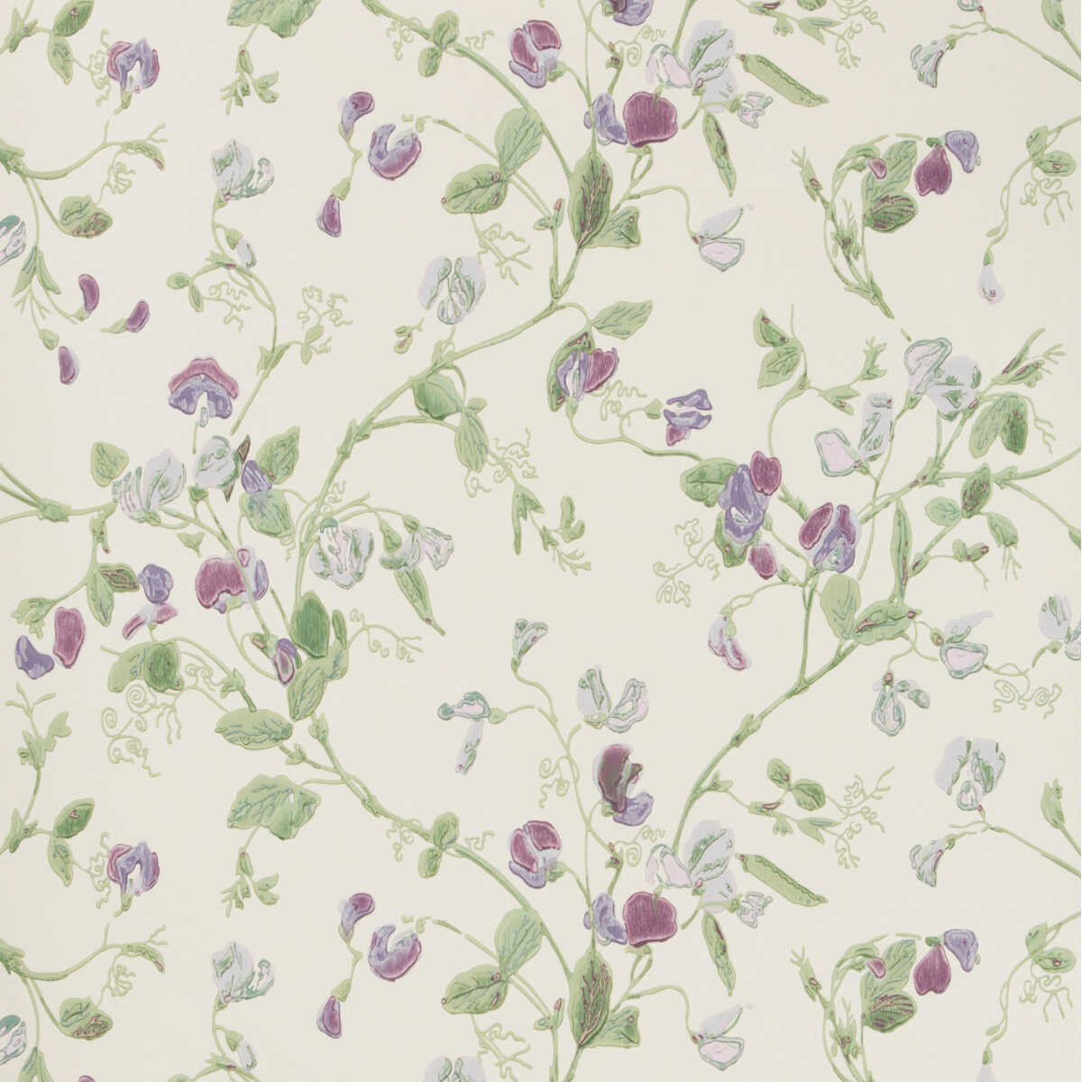 Sweet Pea - Violet - COLE & SON Wallpaper