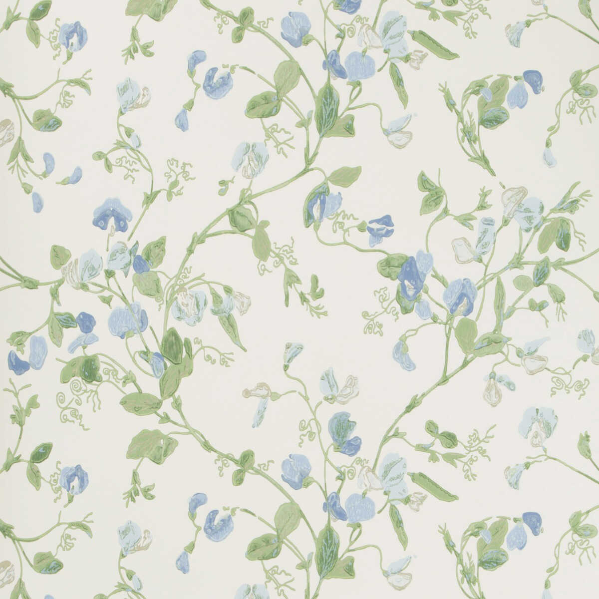 Sweet Pea - Blue - COLE & SON Wallpaper