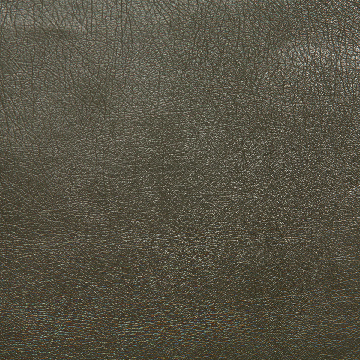 1012-barstow-greentea-pindler