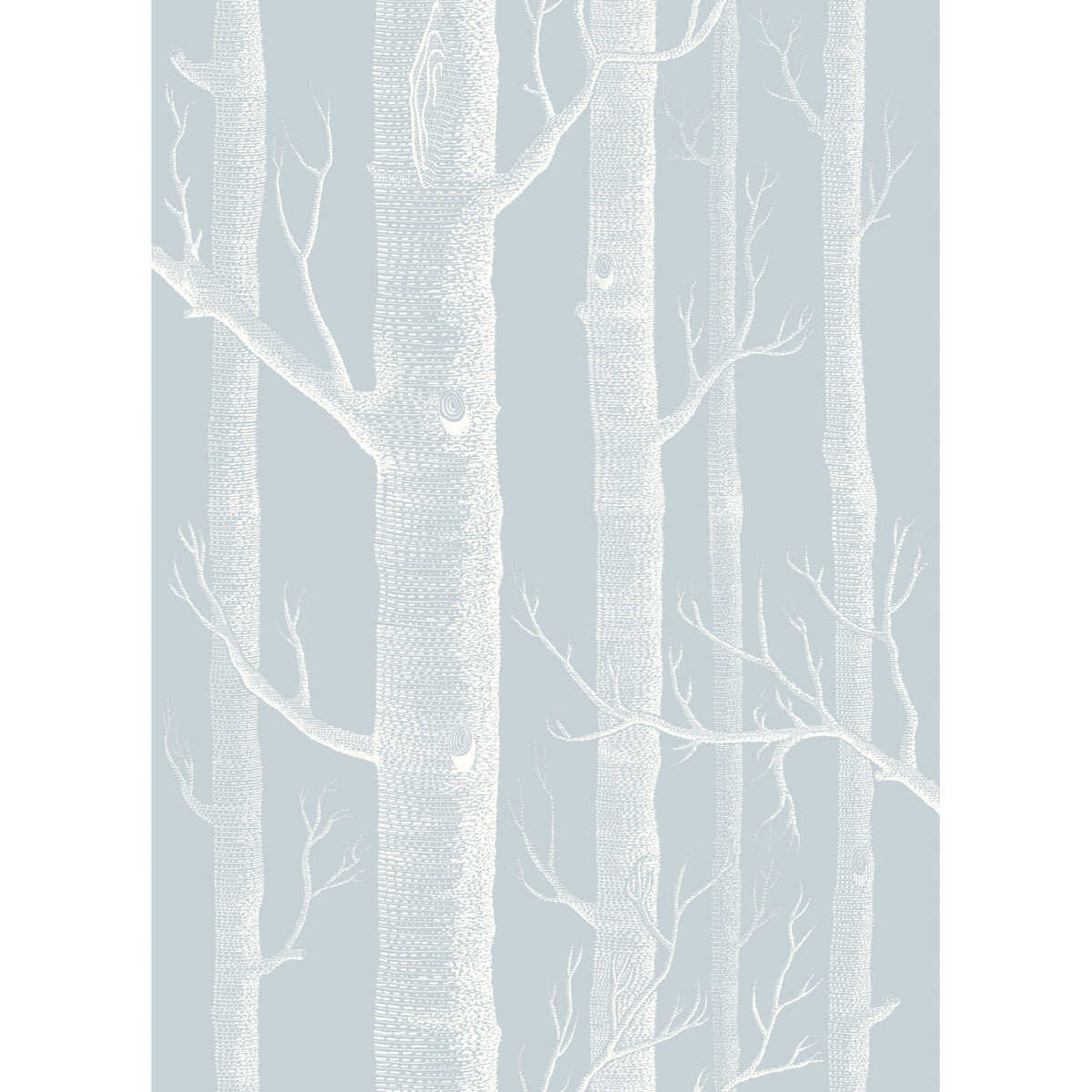 Woods - Powder Blue