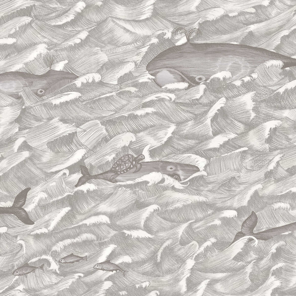 Melville - Sft Blk&Wht - Cole & Son Wallpaper