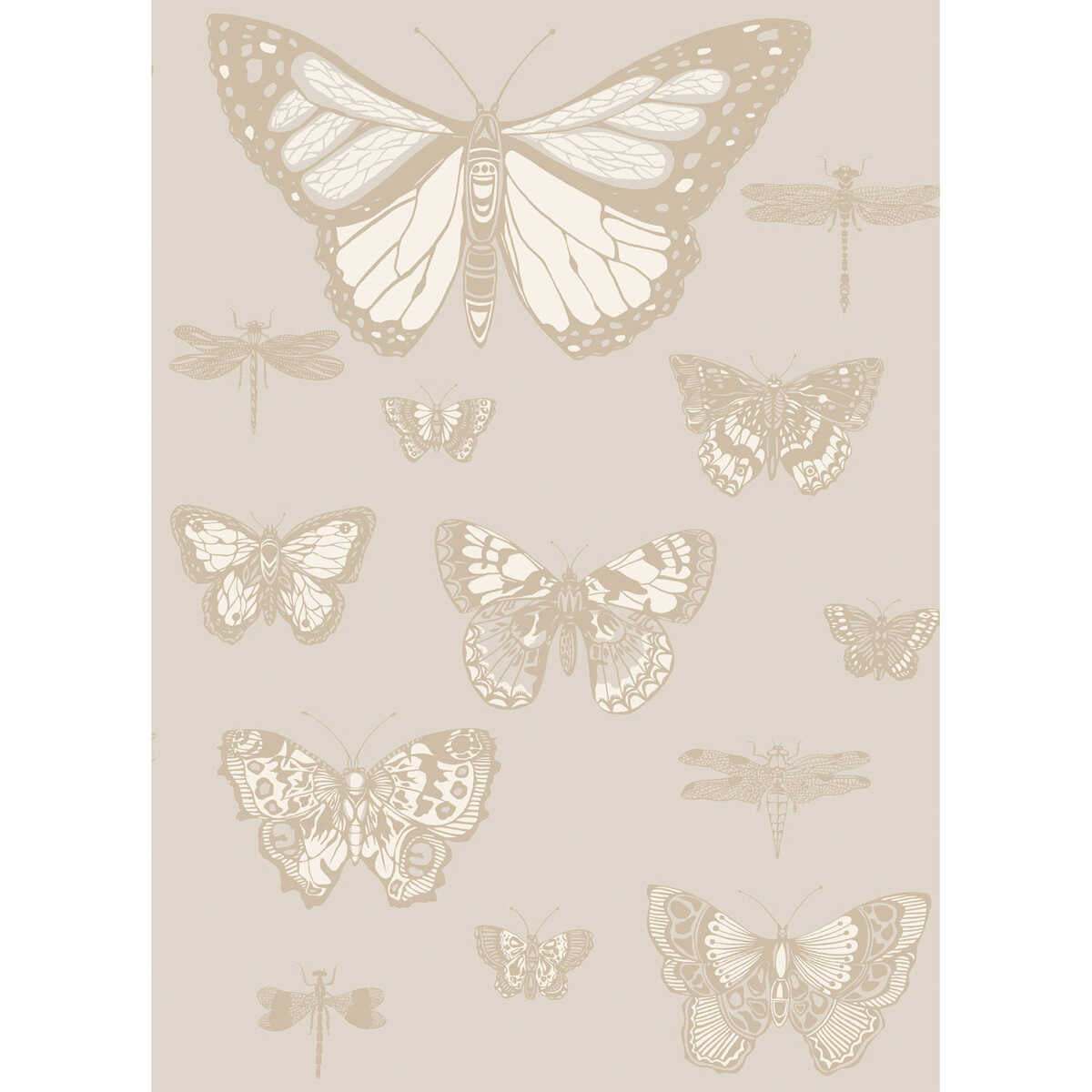 Butterflies & Dragonflies - Grey