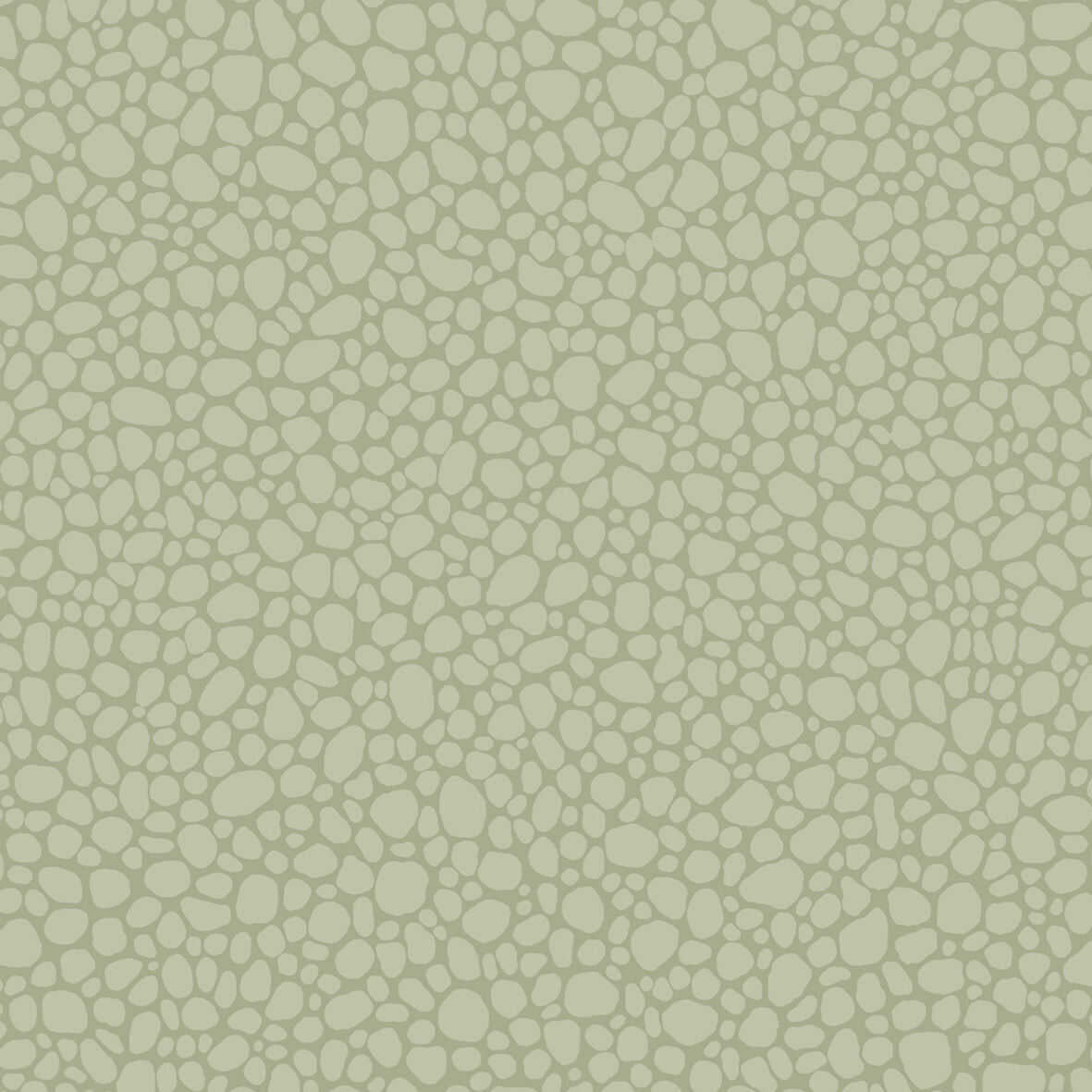 Pebble - Sage - COLE & SON Papel pintado