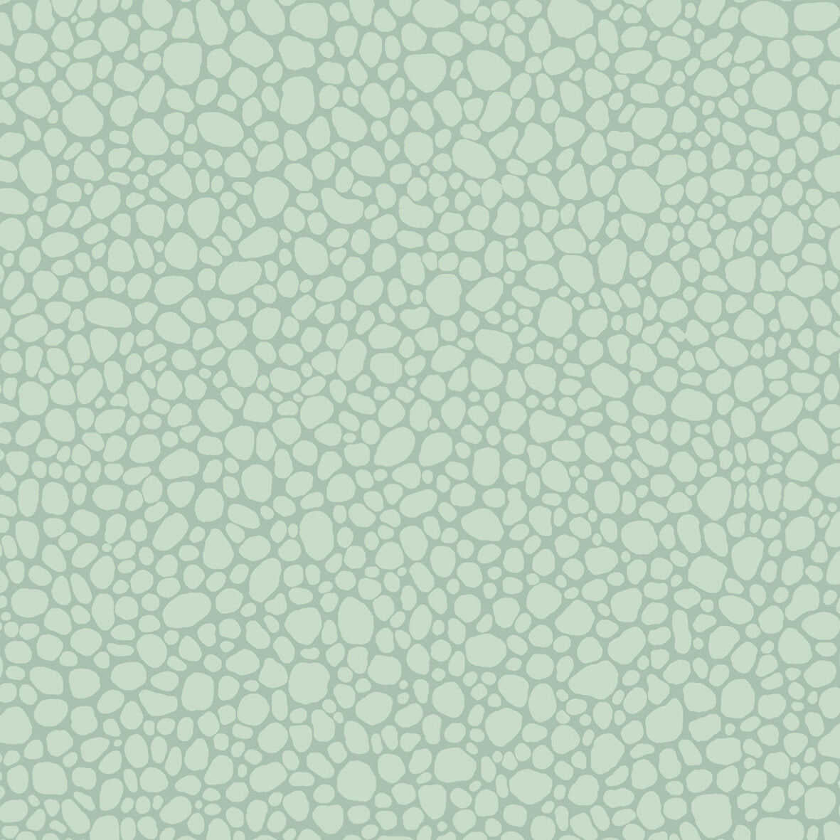 Pebble - Print Room Blue - COLE & SON Wallpaper
