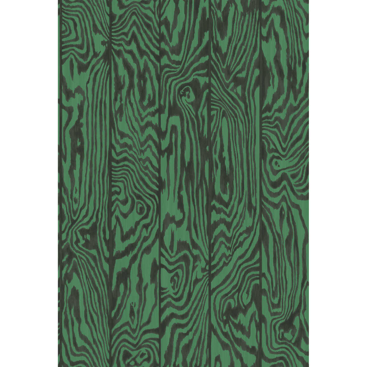 Zebrawood - Emerald
